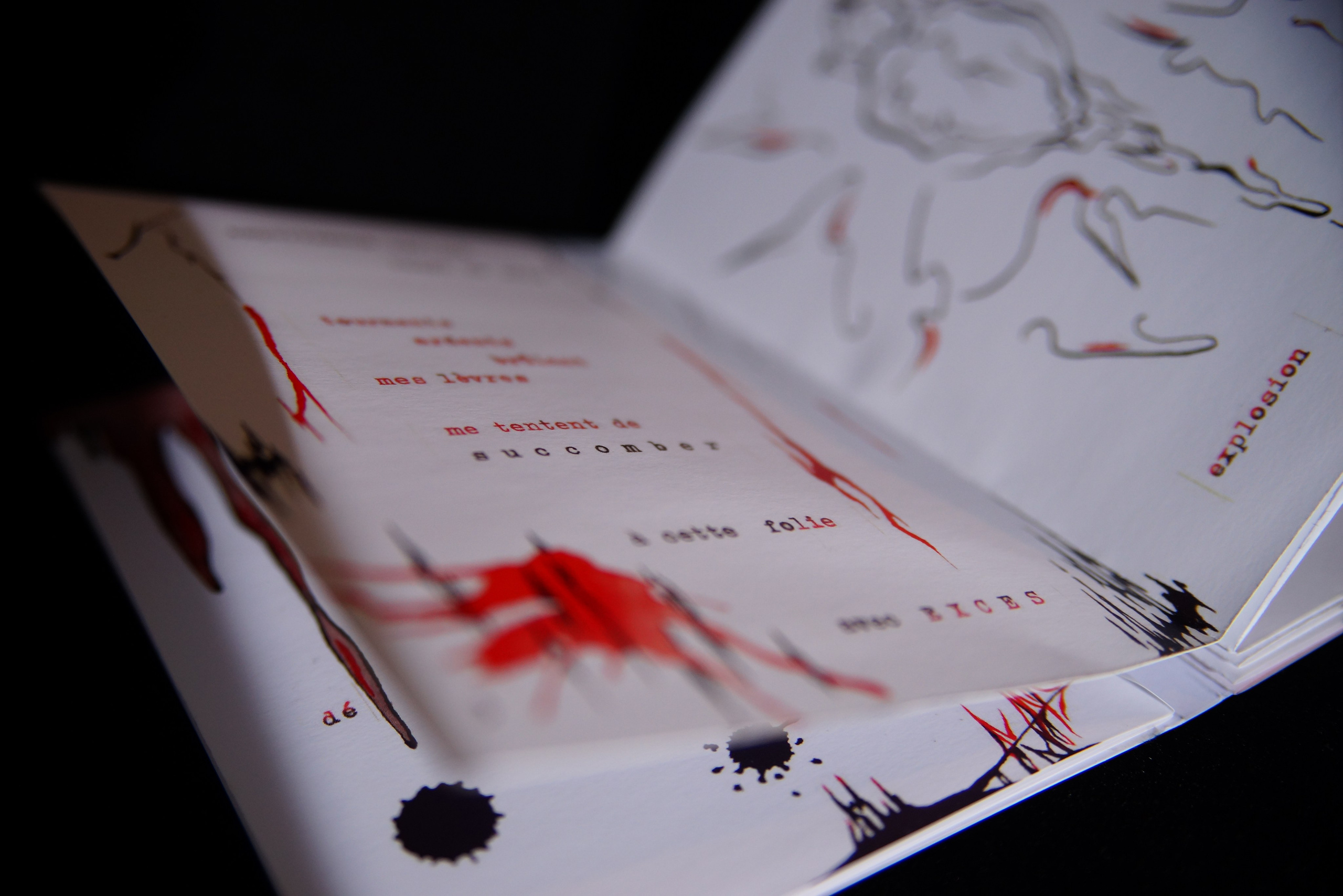 Products. Angelina Sorokopud. Artist in Strasbourg