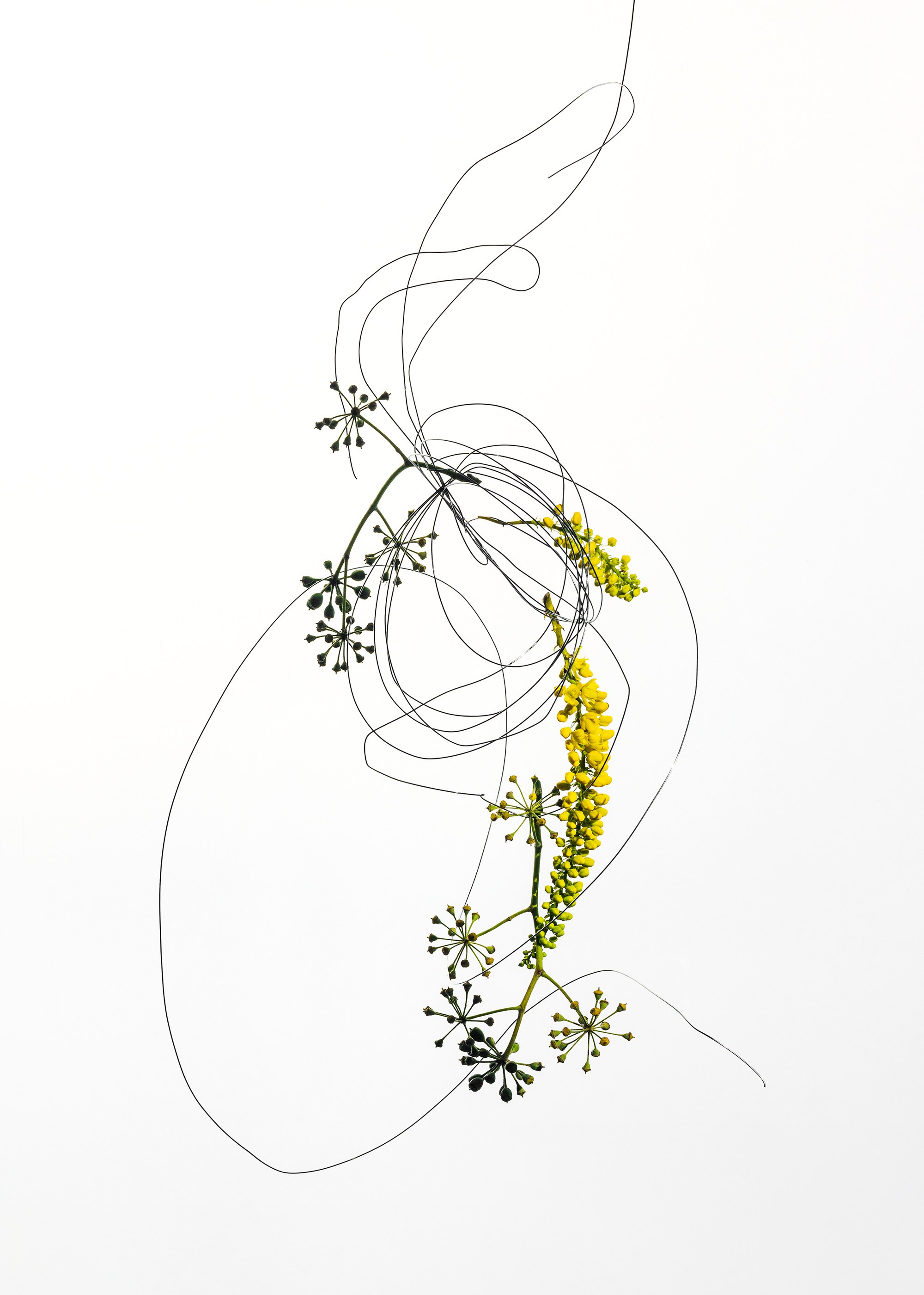 Marina Tsaregorodtseva floral still life