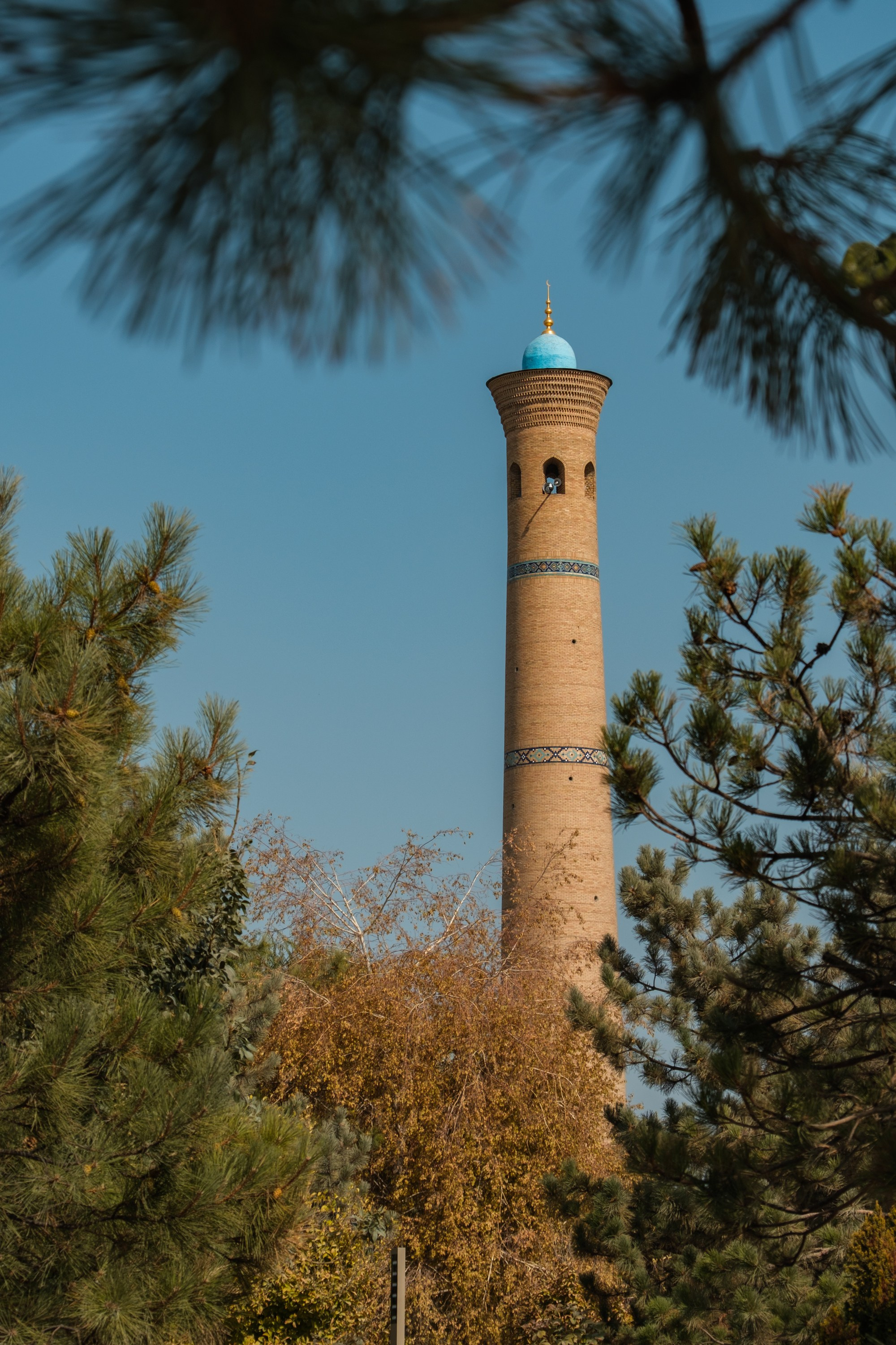 Обзор на объектив 16-300мм Sigma. Личные впечатления и опыт использования. Фотограф Григорий Кравец