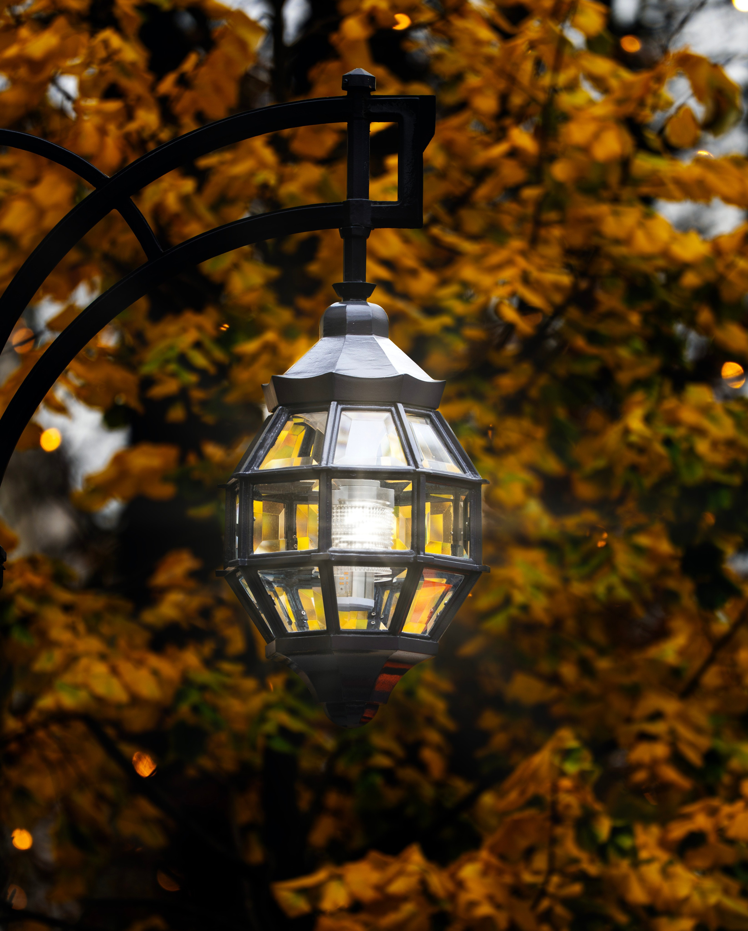 31 OKTOBER HALLOWEEN. LUKIN IGOR Photography