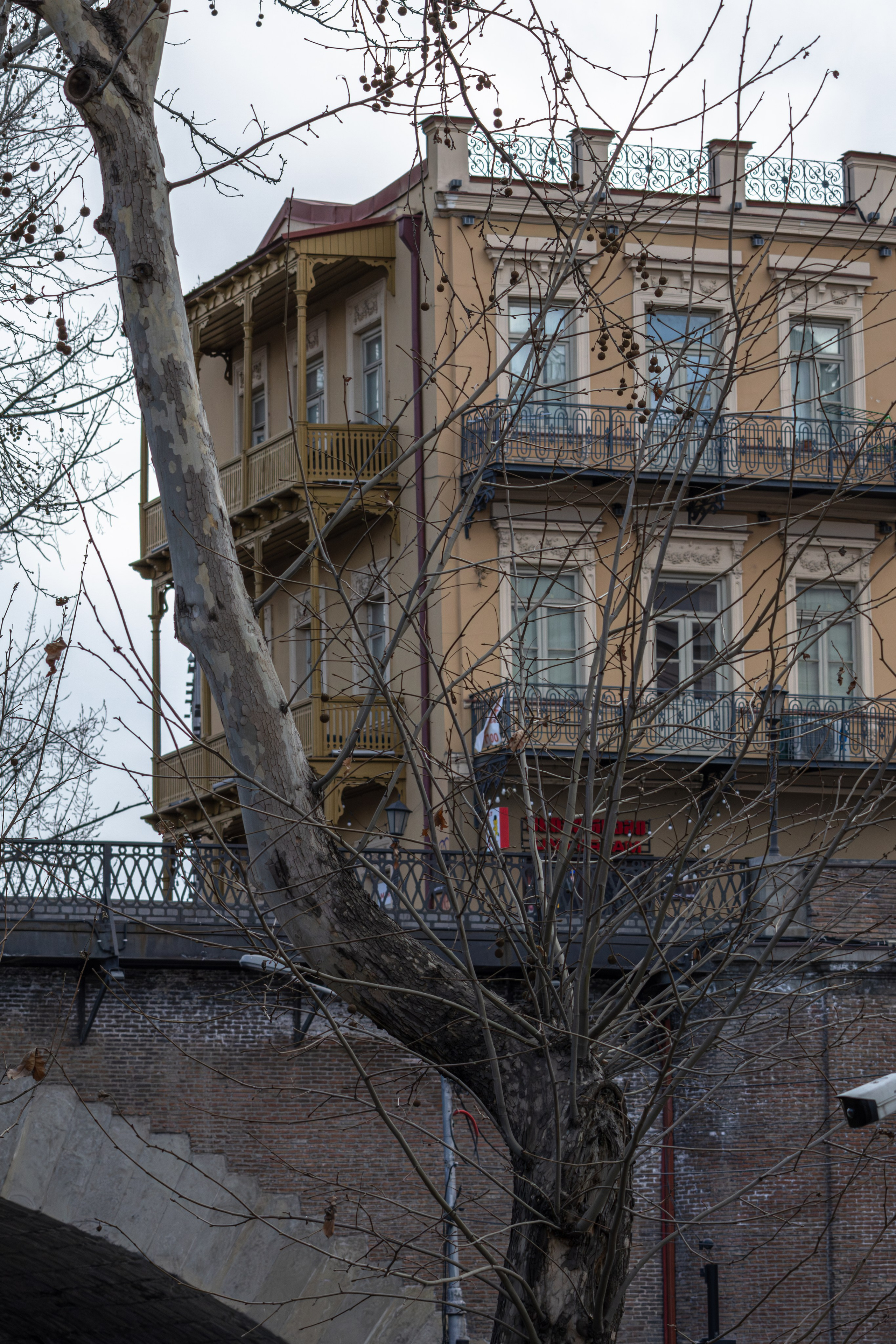 ფრთა ბუმბულისა და ფრთა რკინისა. FramefreeMan