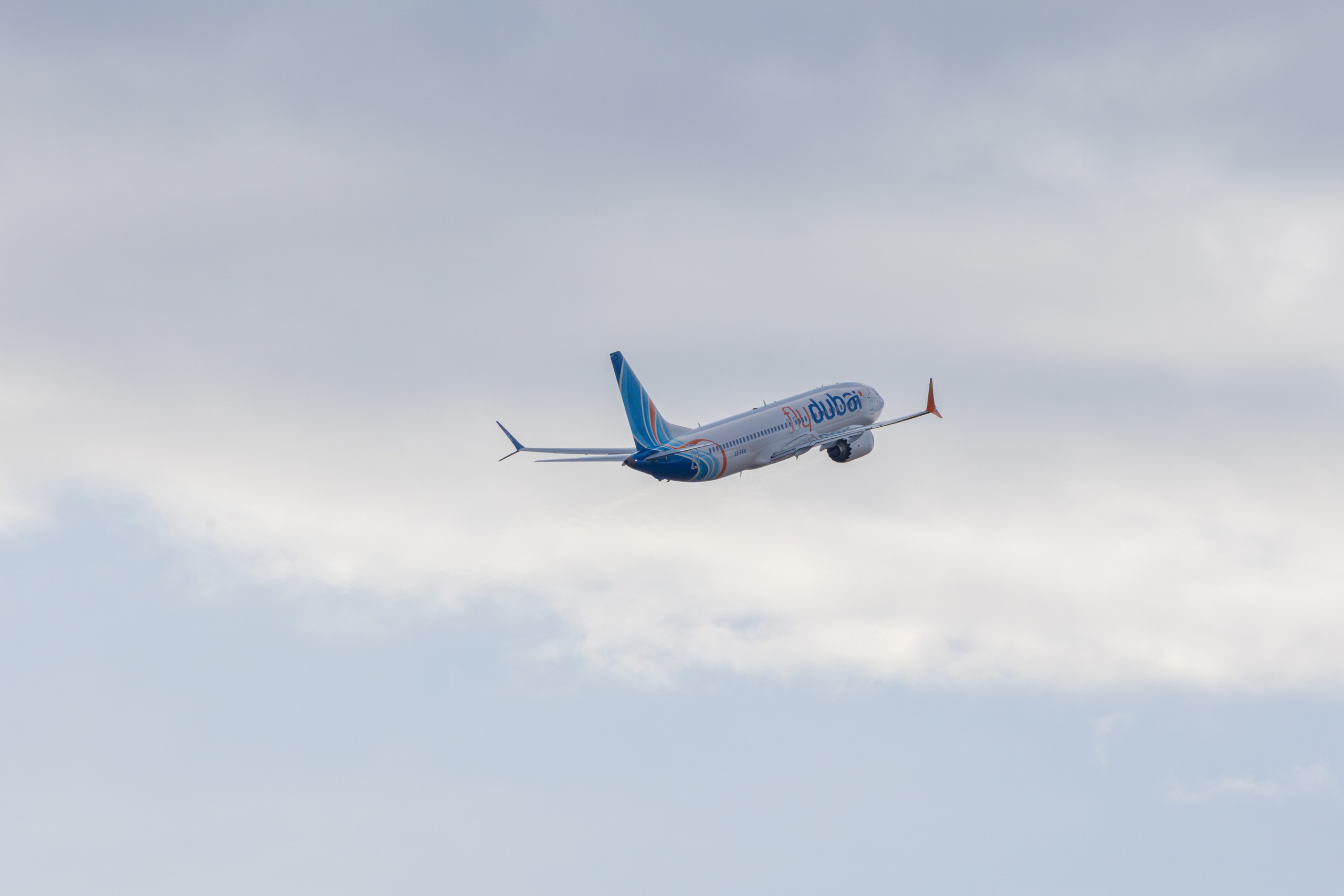 ფრთა ბუმბულისა და ფრთა რკინისა. FramefreeMan