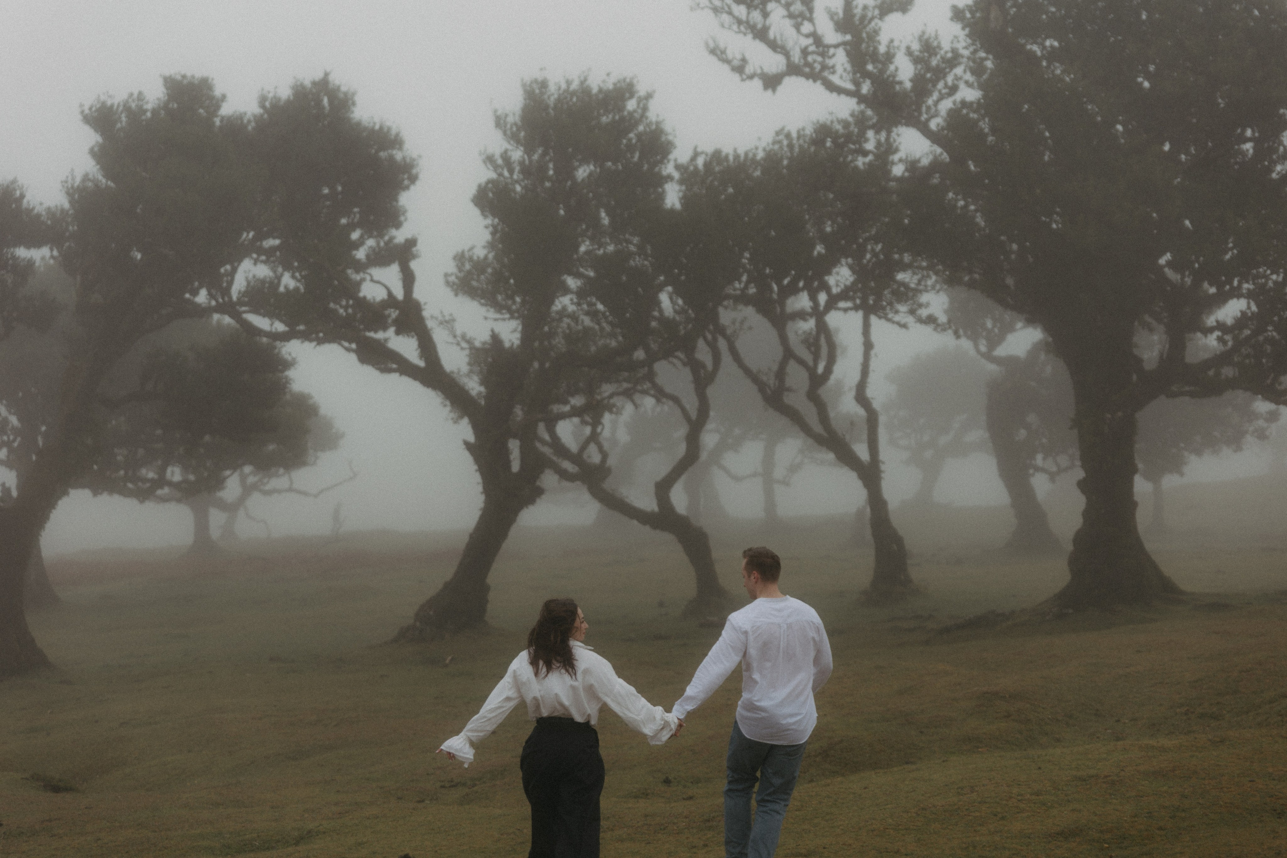 Magic of Fanal Forest. Wedding photographer and videographer based in Timisoara, Romania