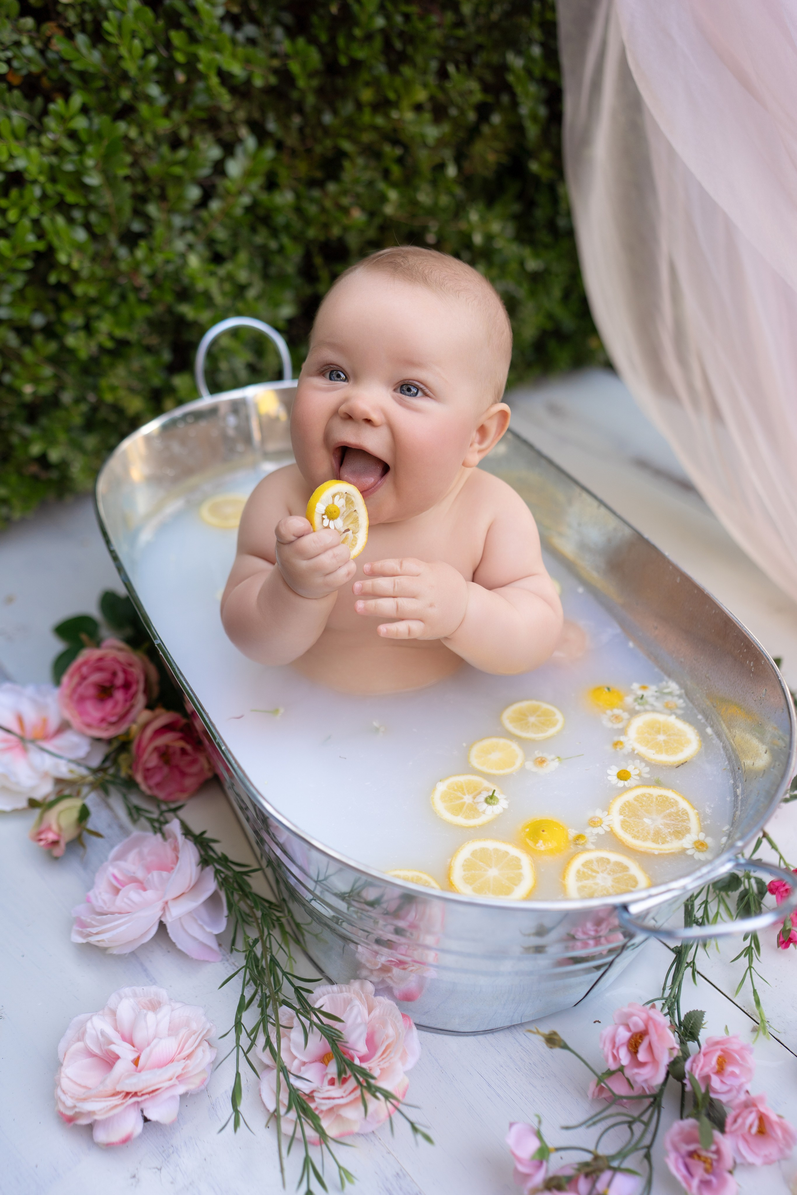 Milestone. Maternity, family and newborn photography in San Francisco Bay Area