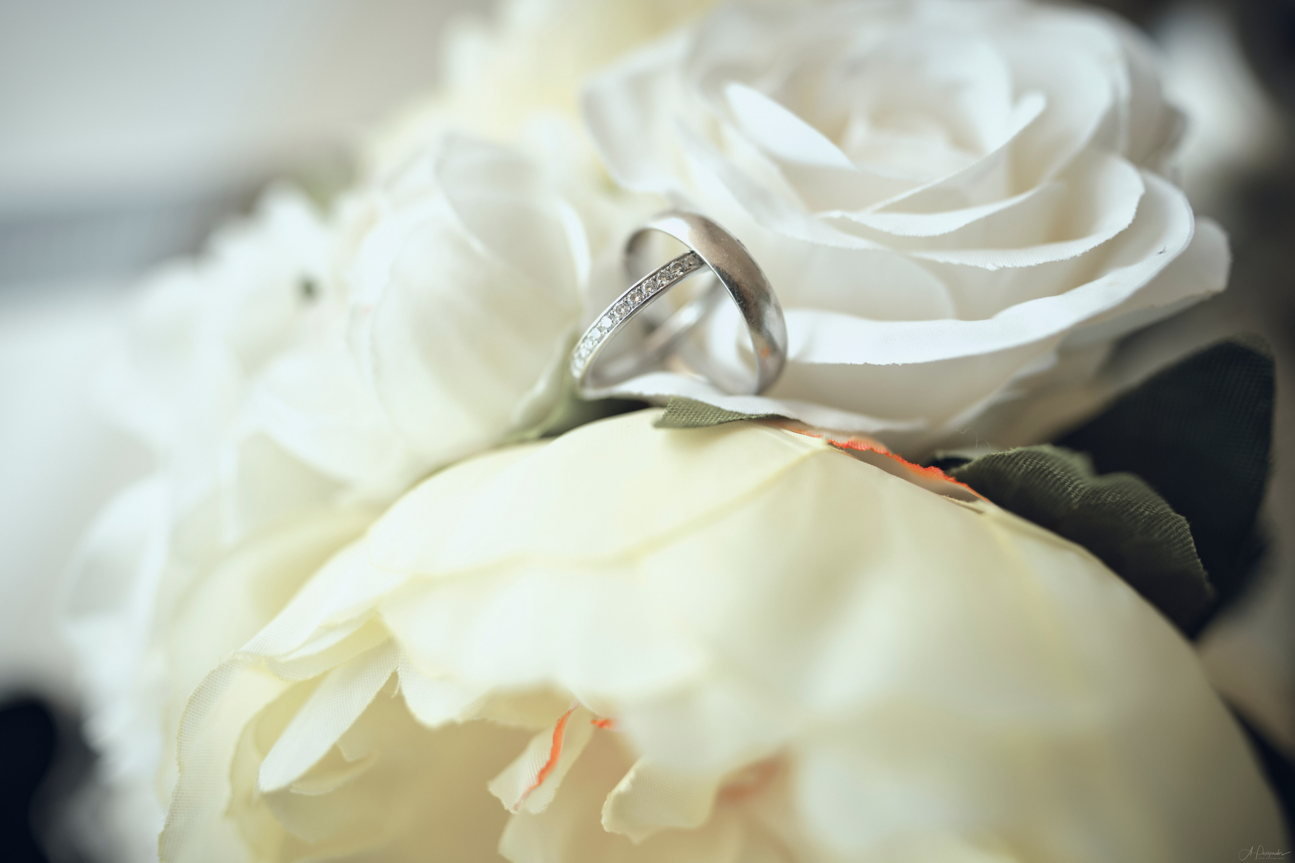 Sam & Haley Wedding Day (Sani Resort — Halkidiki). Φωτογράφος Αναστάσιος Πιξόπουλος