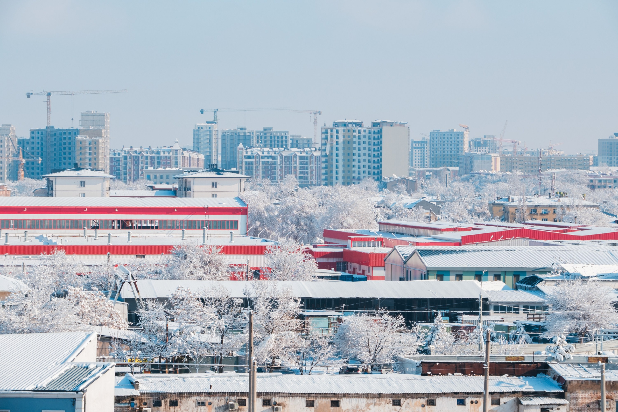 Обзор на объектив 16-300мм Sigma. Личные впечатления и опыт использования. Фотограф Григорий Кравец