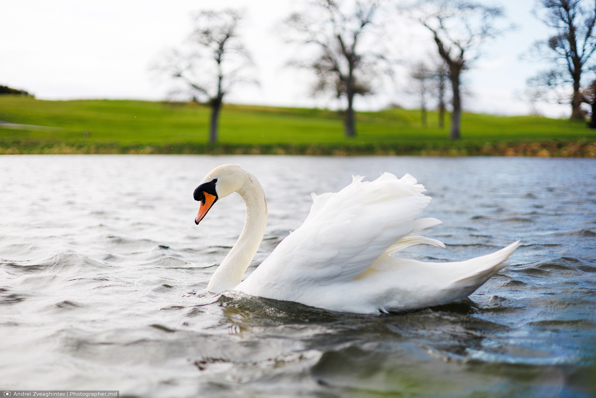 Calatorie in Irlanda cu fotograful Andrei Zveaghintev — scoala fotografie in Moldova