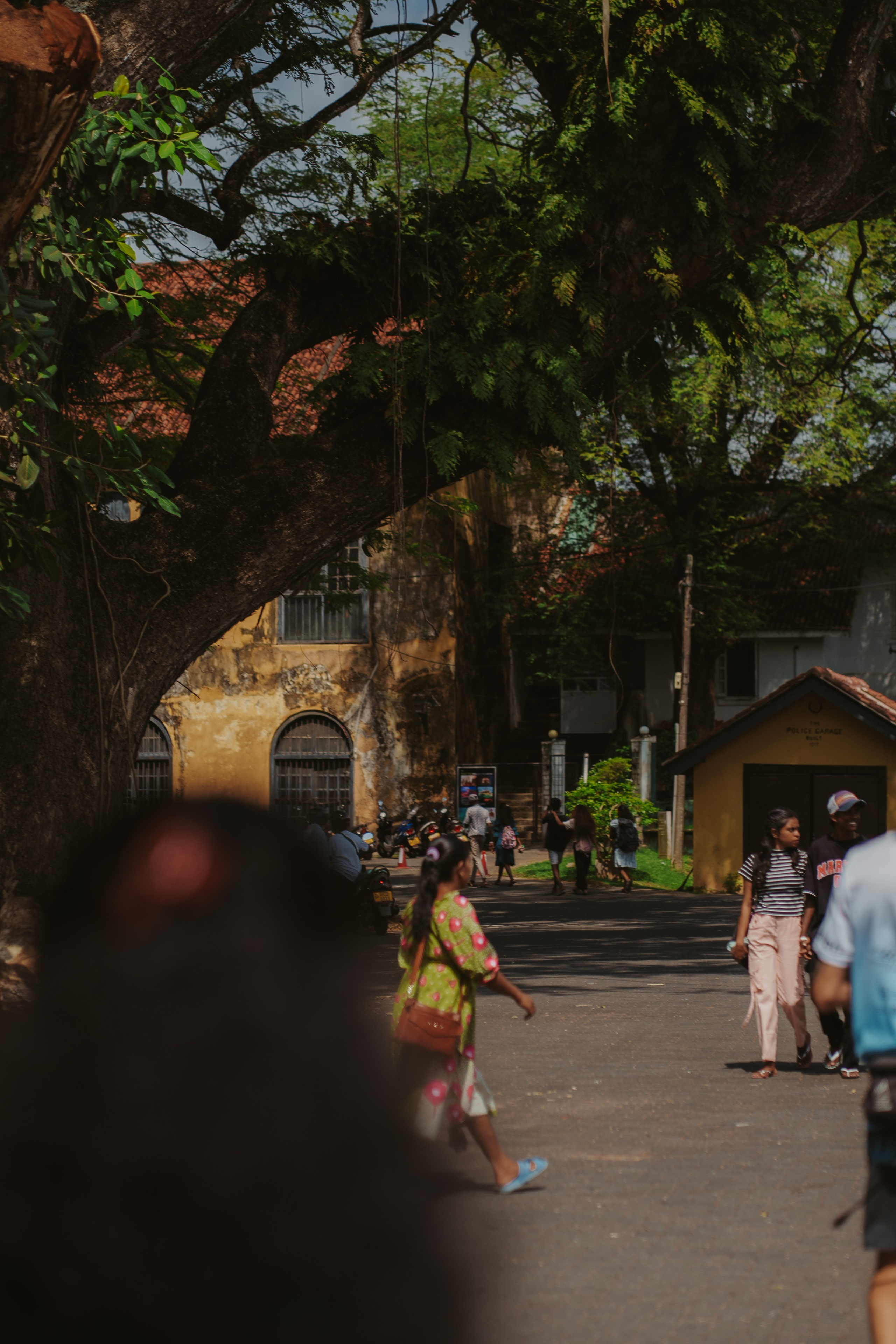 Серф-тур на Шри-Ланку: 12 дней у океана (16-27 Марта)