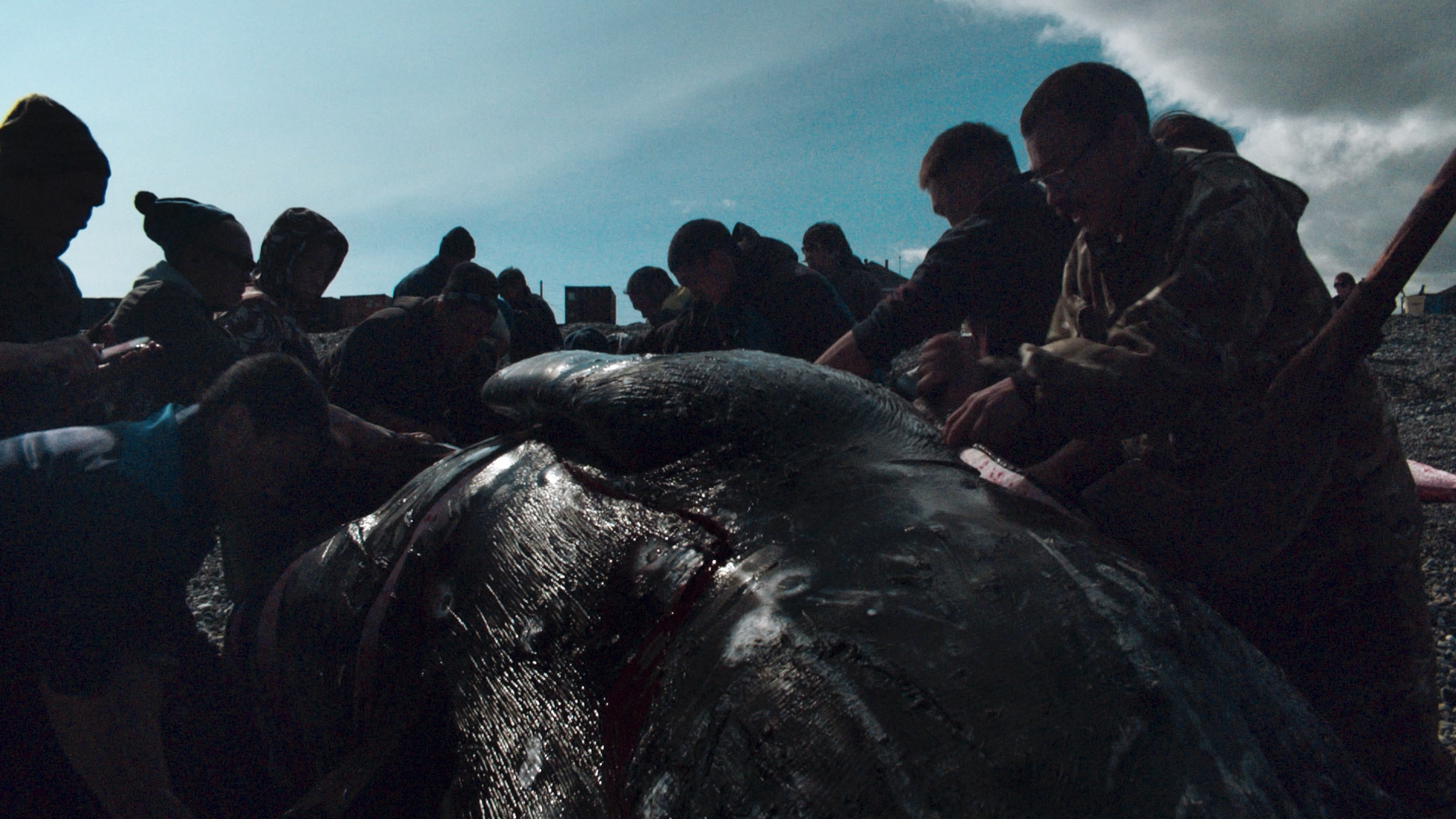 Piblokto. Singularity Film