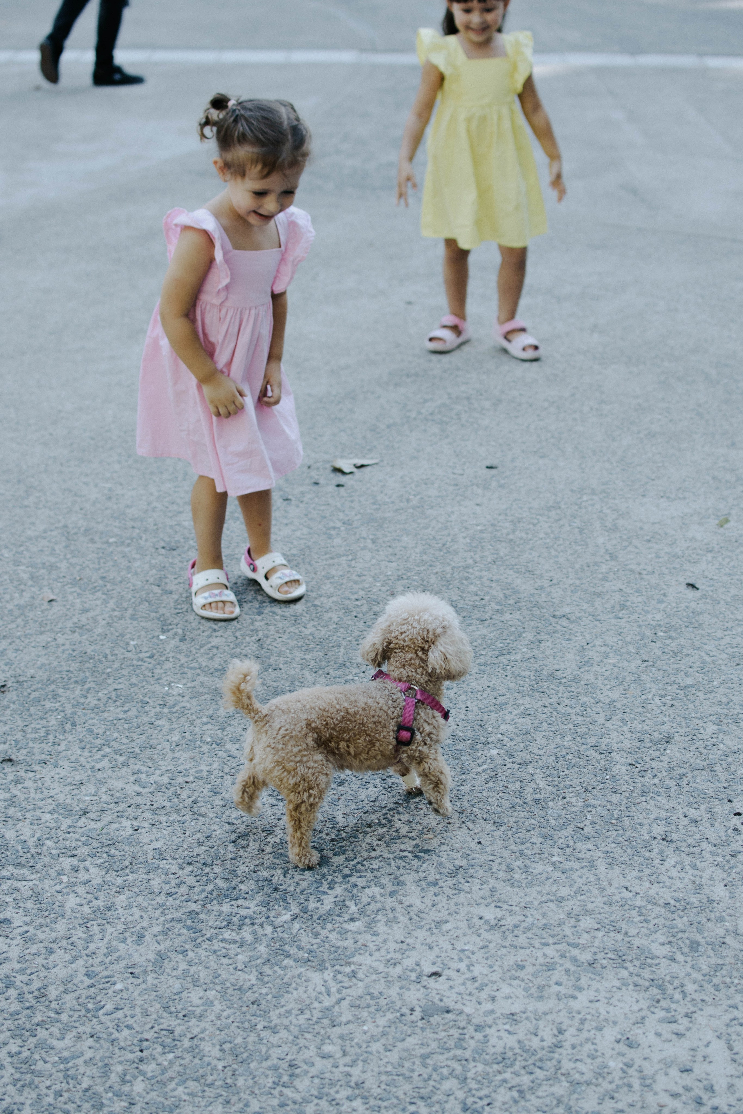 Announcement for the Vera’s family. Photographer @elmirkami in the city of Buenos Aires