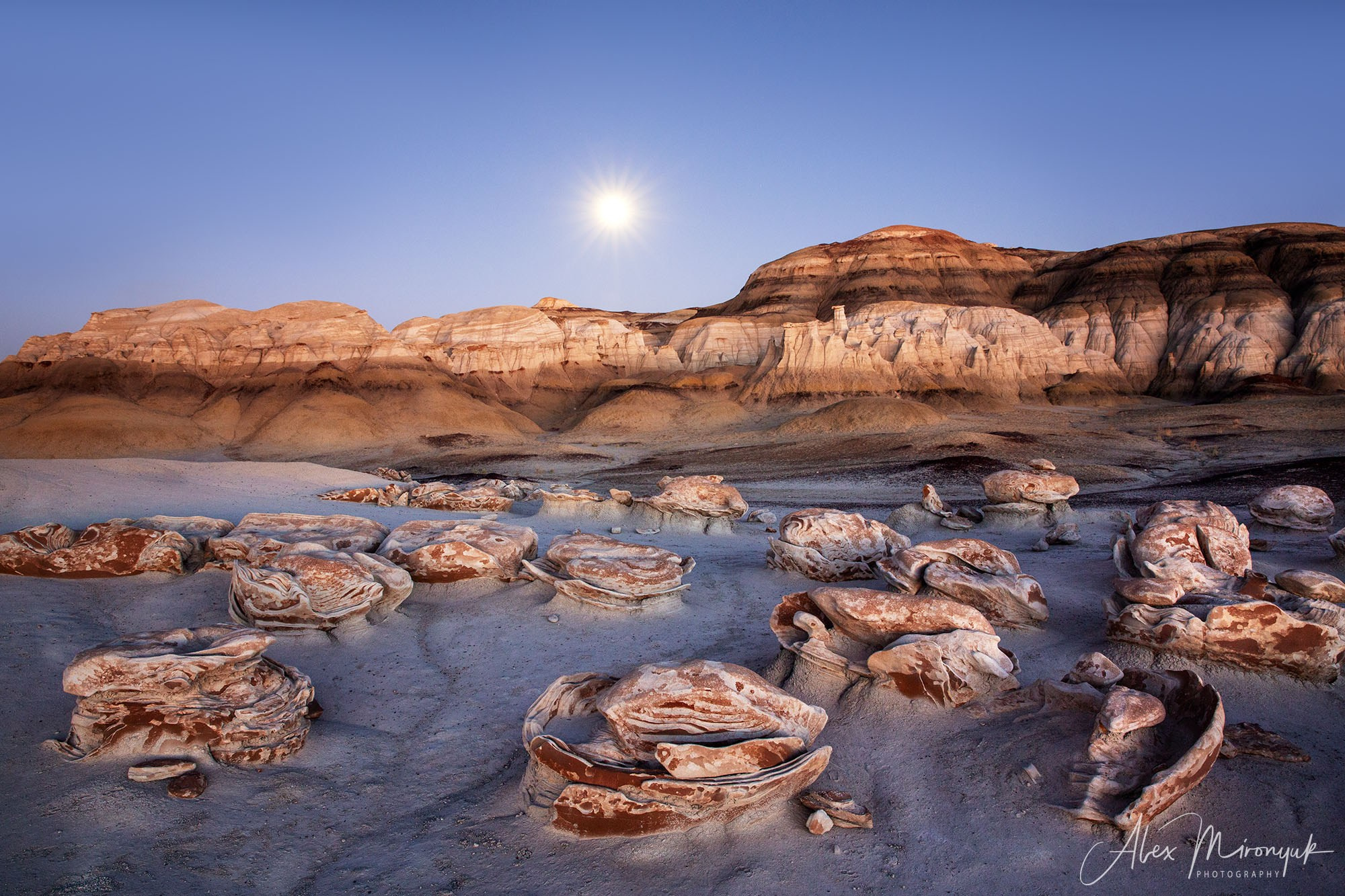 The Best of New Mexico. Pet, Senior, Landscape, portrait studio, photographer in Miami and Sou