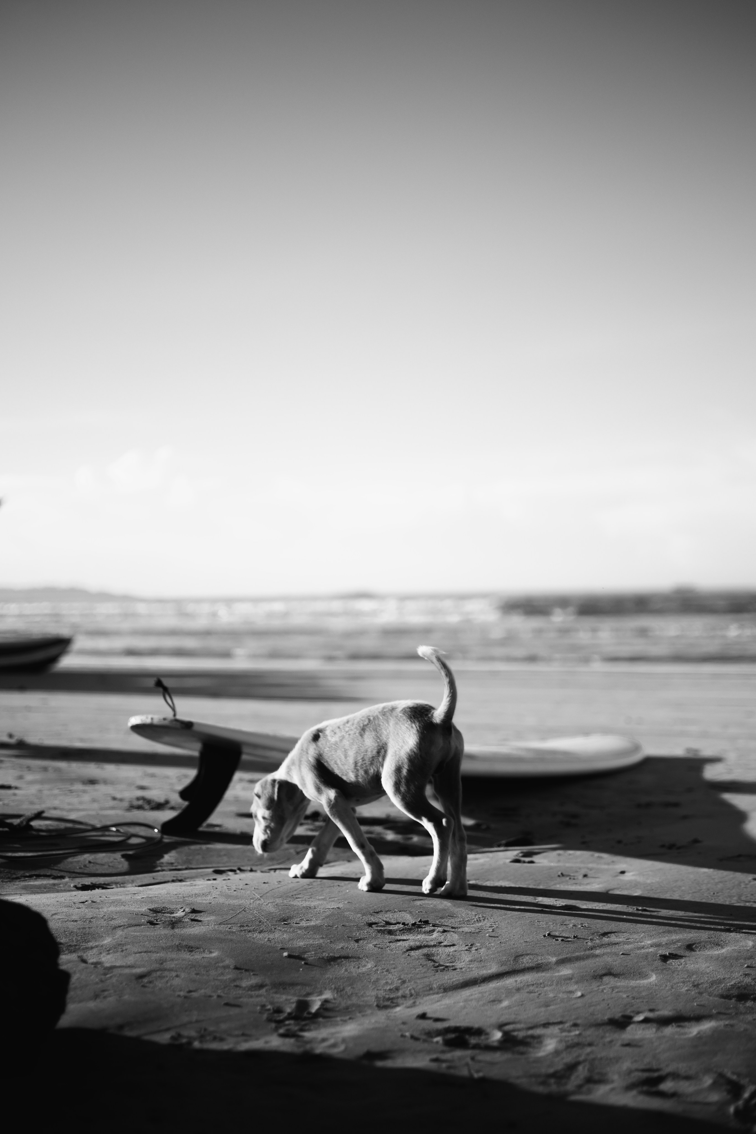 Photoshoot with a surfboard | BW