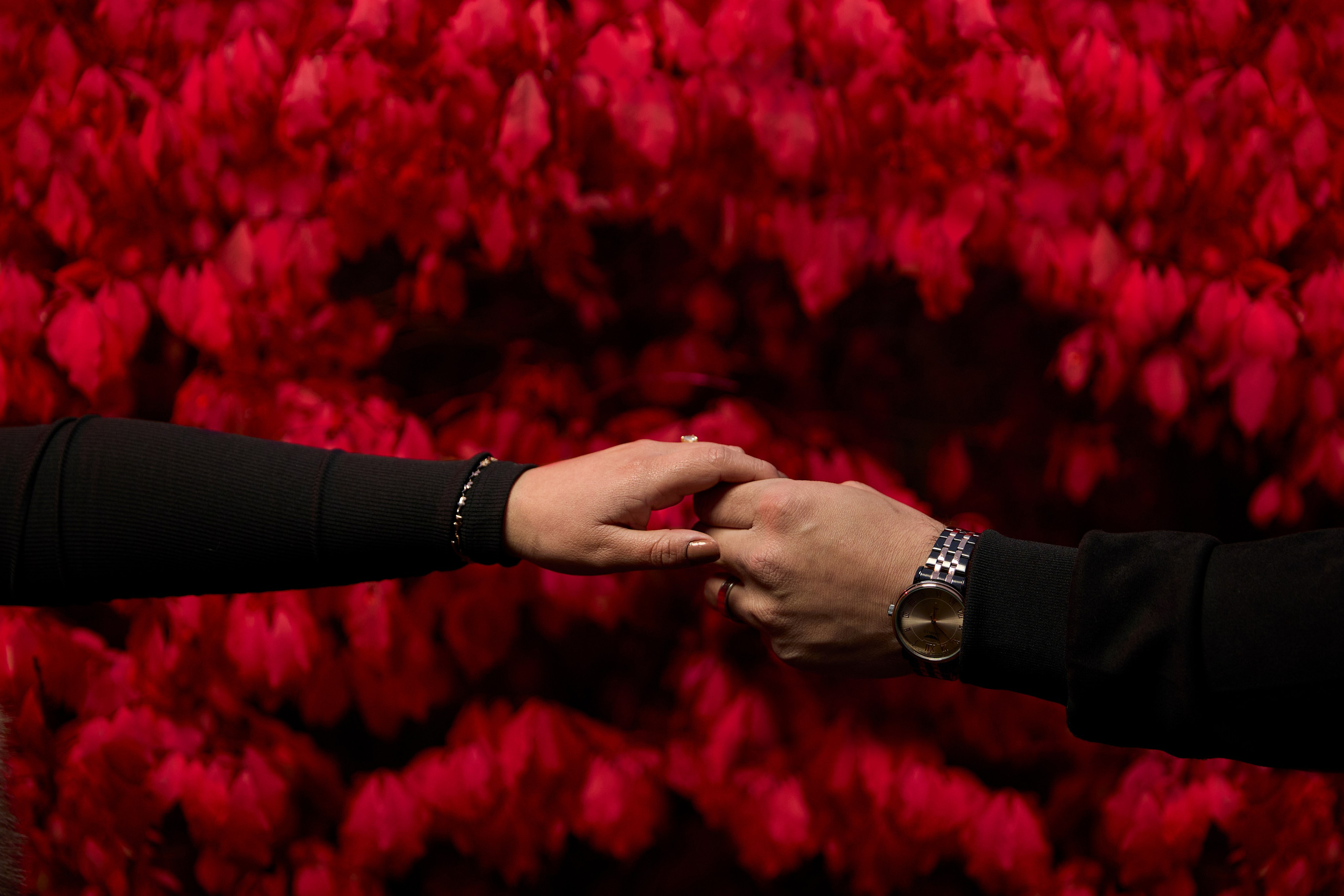 Wedding, quinceanera, maternity and sport photographer in Montreal