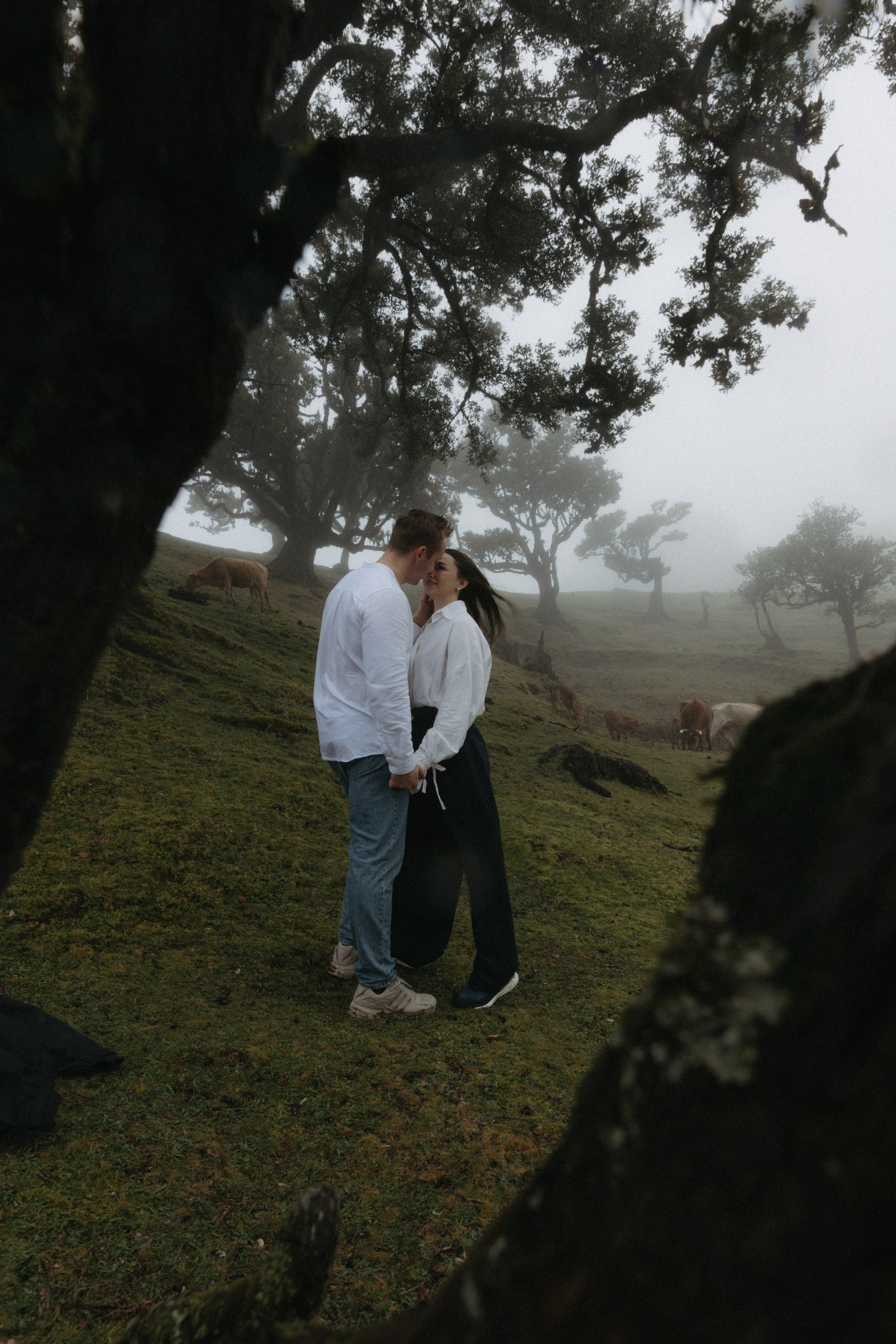 Magic of Fanal Forest. Wedding photographer and videographer based in Timisoara, Romania