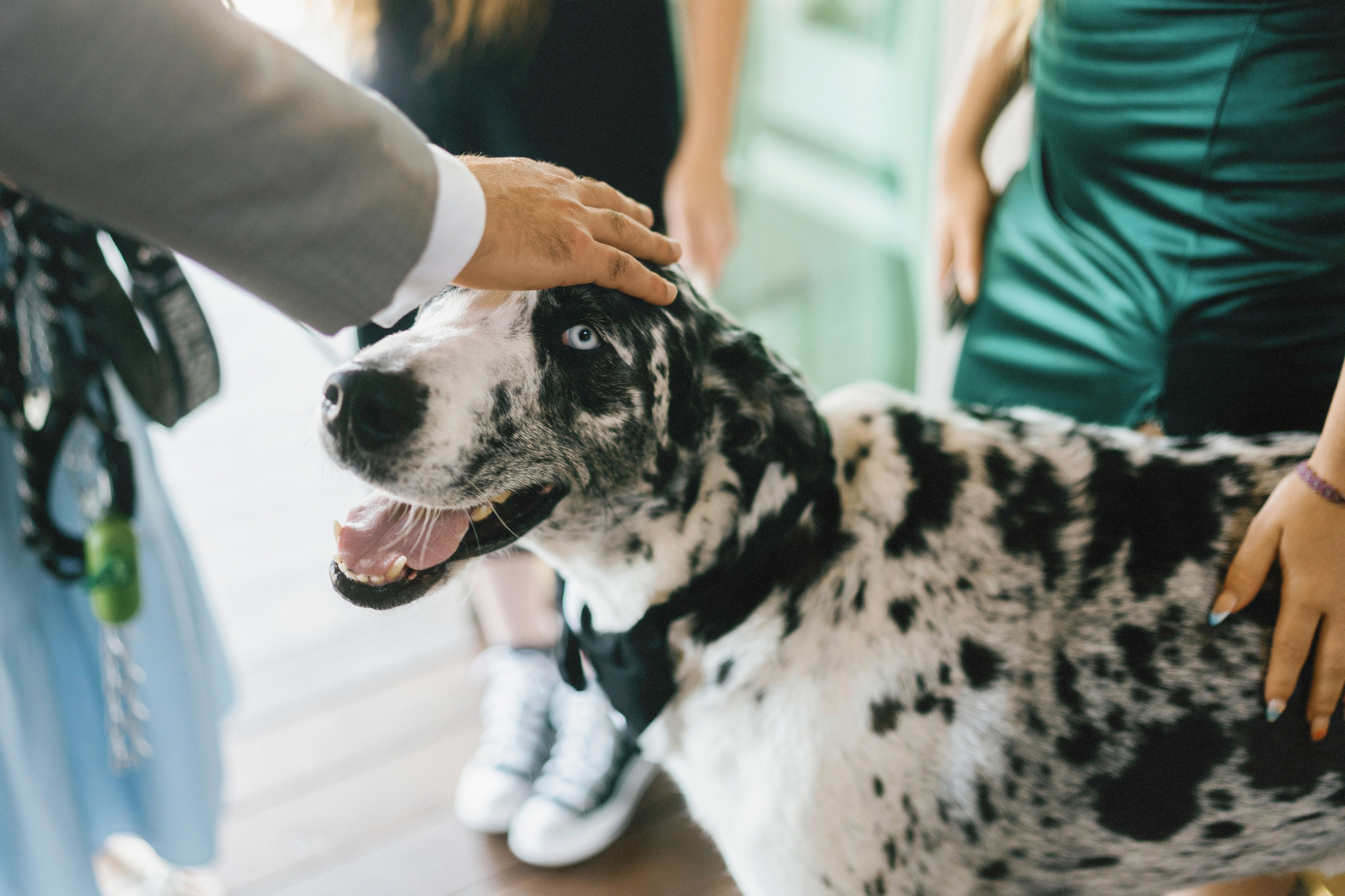 Heather and Cameron’s Wedding Day. Wedding Photography & Videography Team in California, Los Angeles, San Francisco, San Diego and Travel