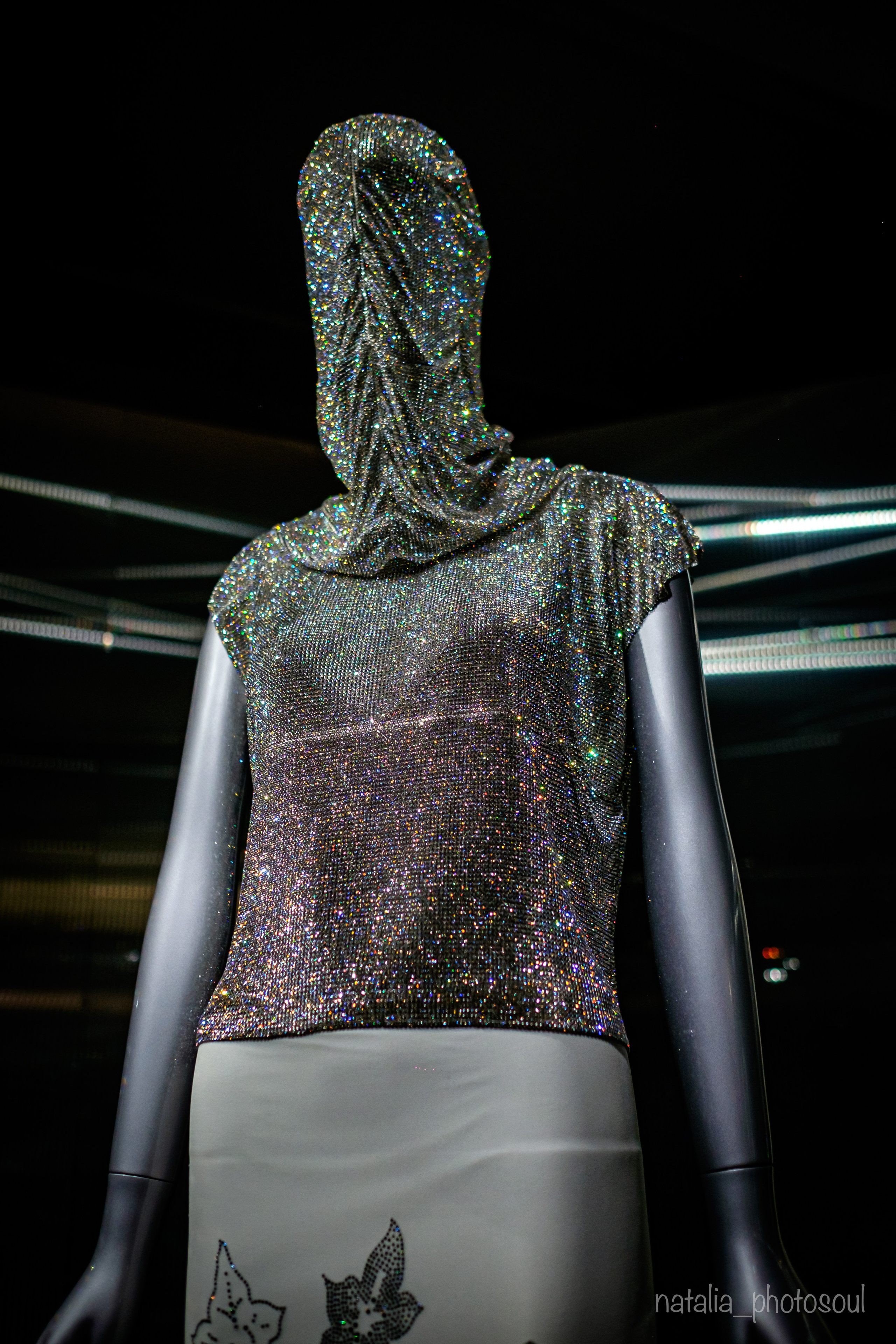 SWAROVSKI MASTERS OF LIGHT FROM VIENNA TO SEOUL. Photographer in Seoul Dobrokvashina Natalya