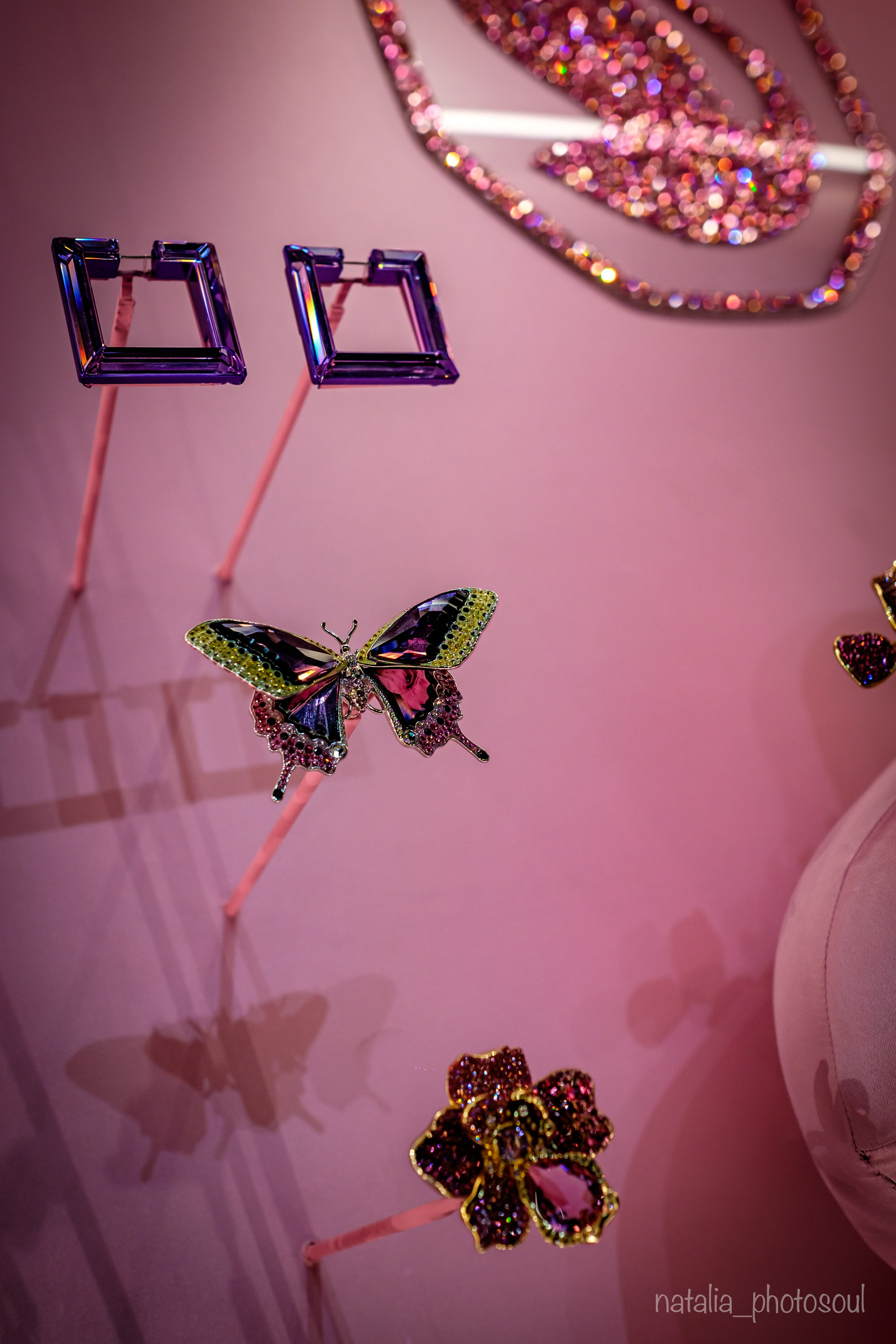 SWAROVSKI MASTERS OF LIGHT FROM VIENNA TO SEOUL. Photographer in Seoul Dobrokvashina Natalya