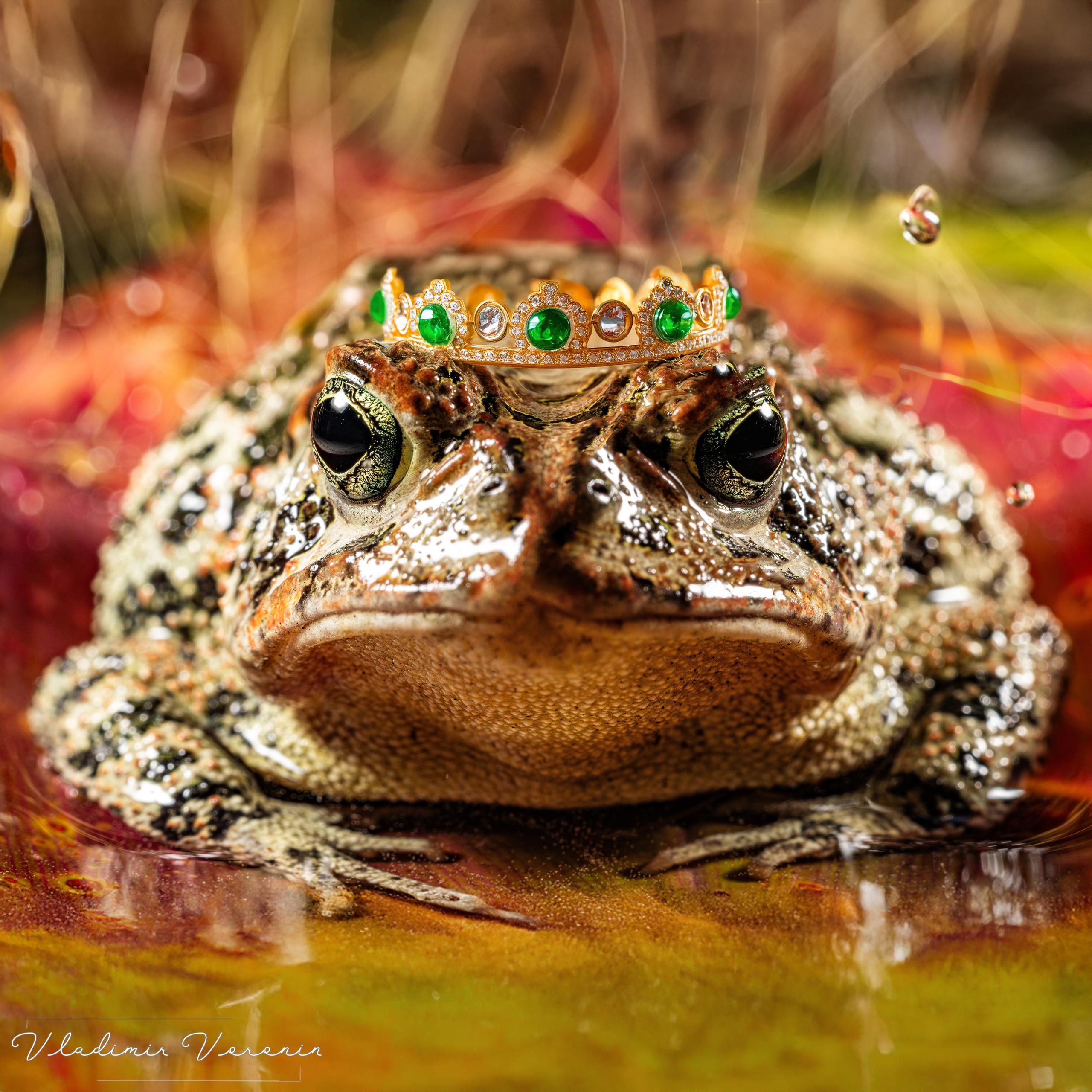 Fleeting Visions — A Personal Portrait Collection. Photographer St. Augustine