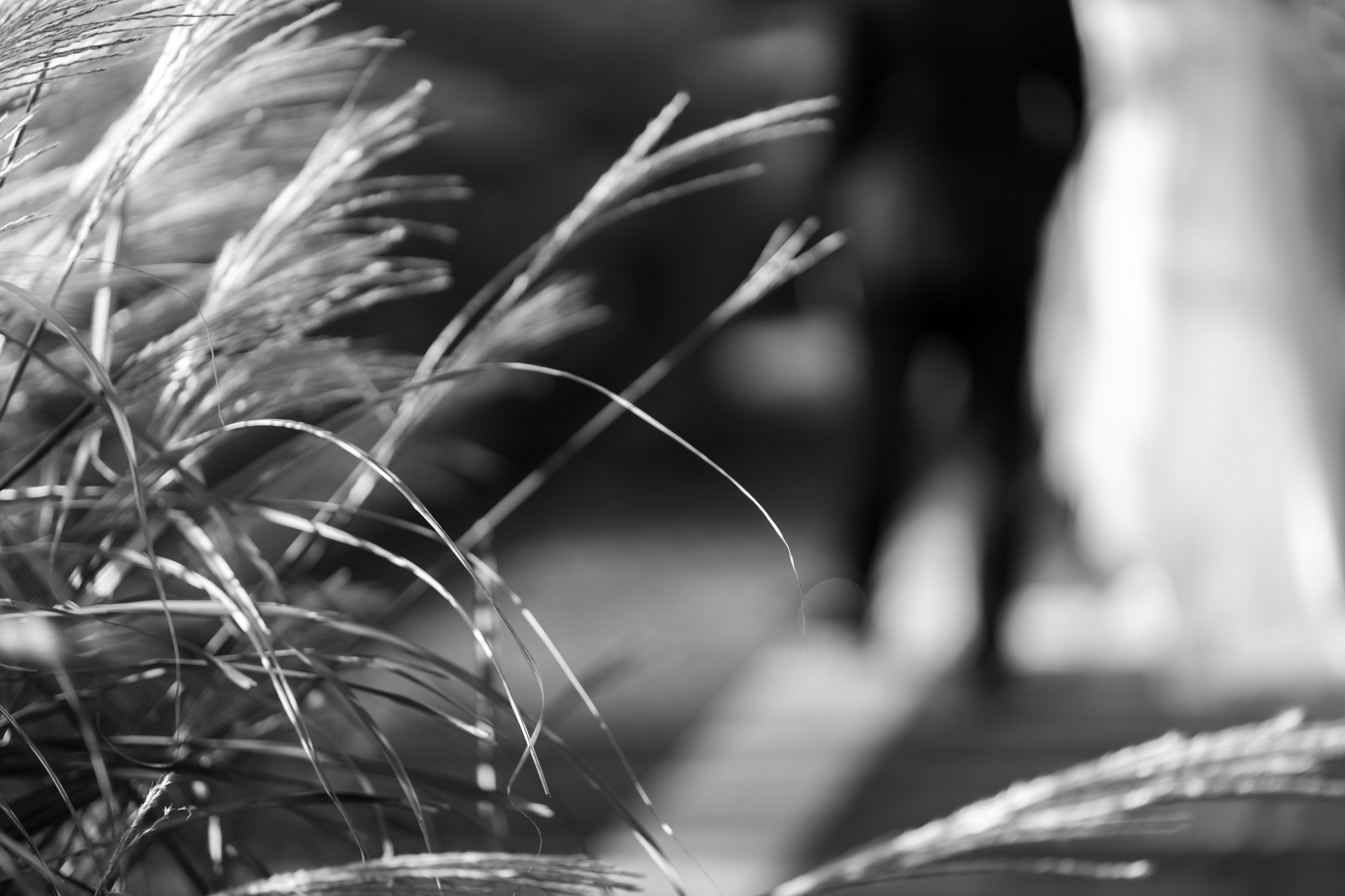 Andreea & Alexandru. Fotograf evenimente, fotograf nunta, fotograf botez