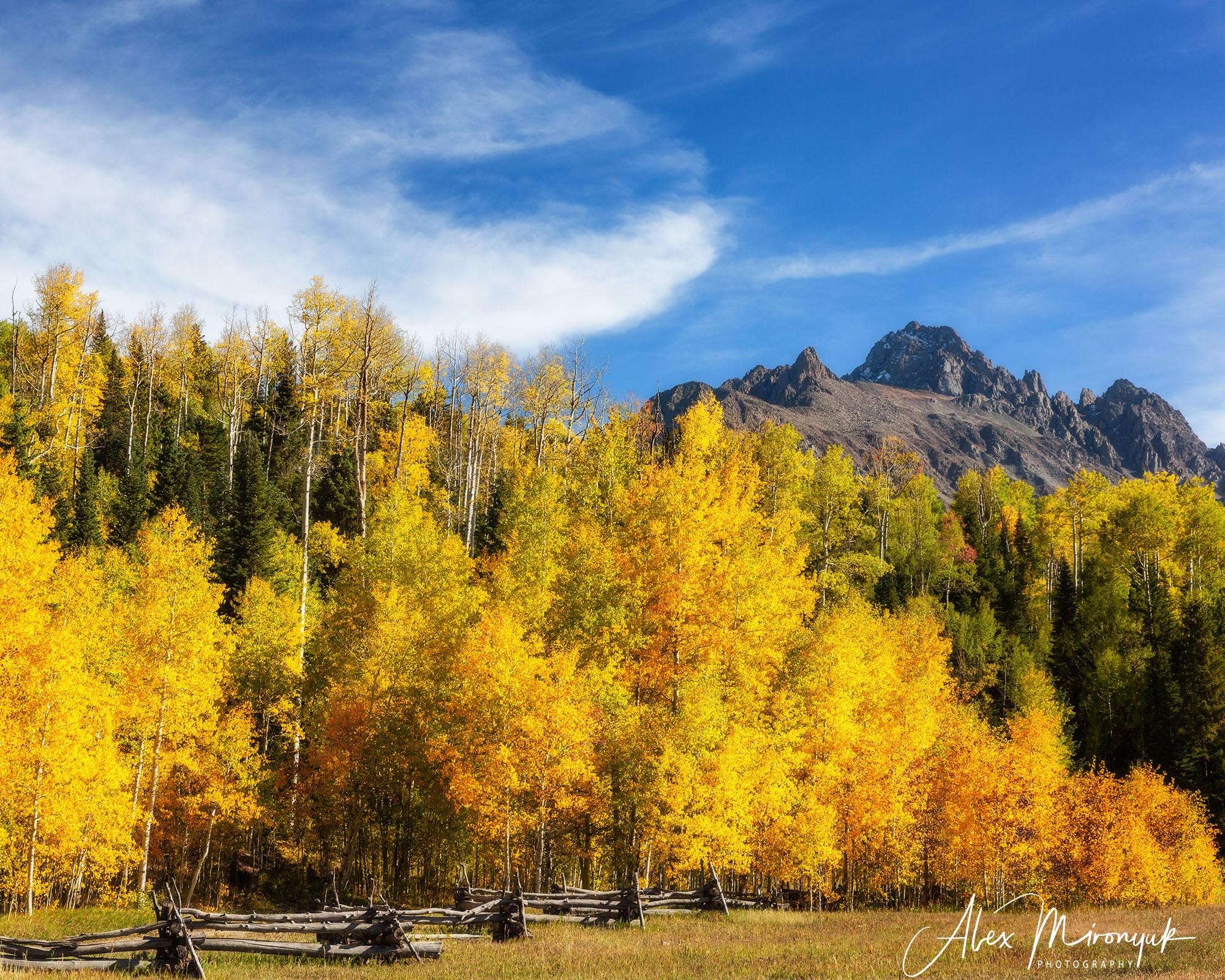 Fall Colors Of Colorado. Pet, Senior, Landscape, portrait studio, photographer in Miami and Sou