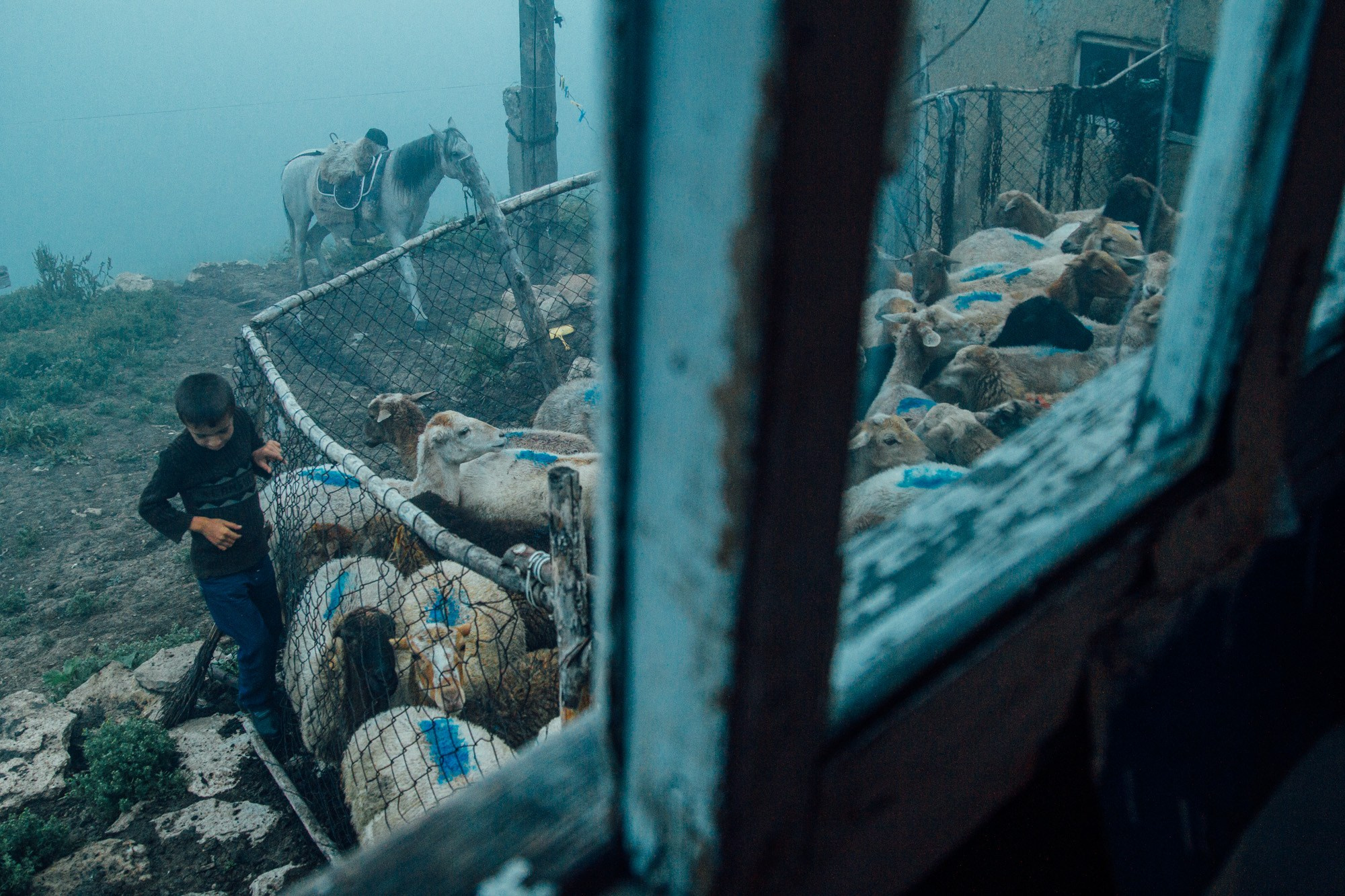 Təbiət Fotoqrafiyası və Portret Çəkilişləri. Bakıda Peşəkar Tədbir, Love Story və Təbiət Fotoqrafı — Elşən Baba