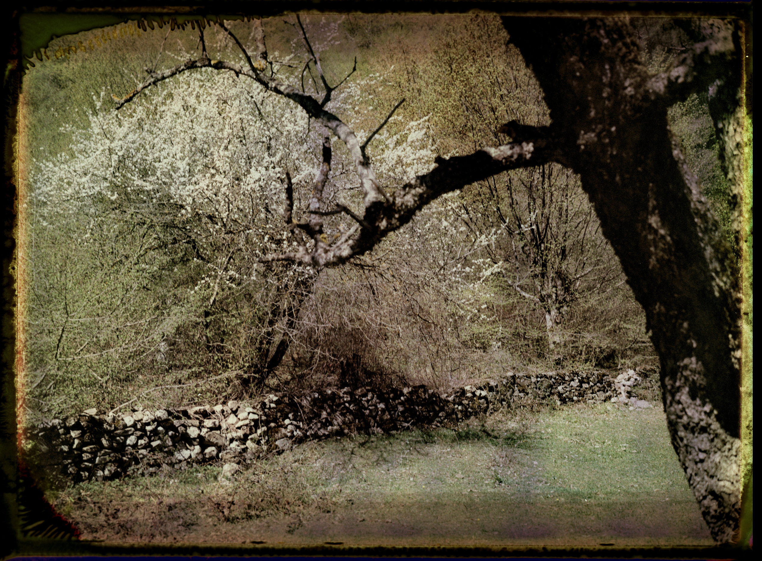 POLAROID. Www.sananaleskerov.com