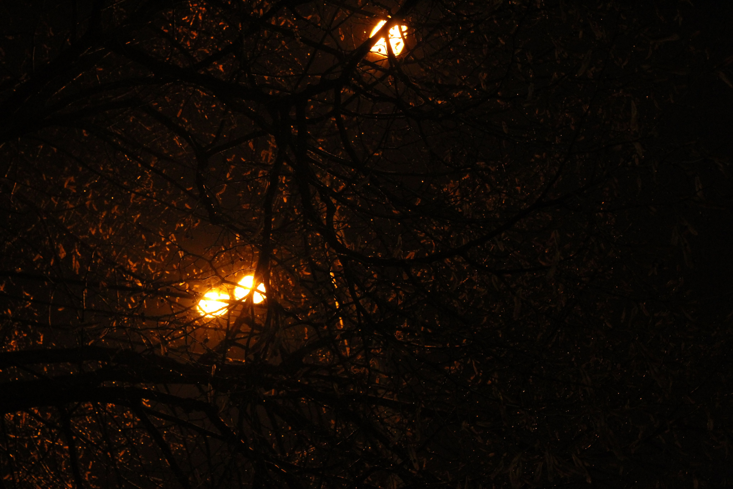 Dopo la pioggia, arriva il sole. Stanislava Novgorodtseva — Photographer | Visual Artist | Educator