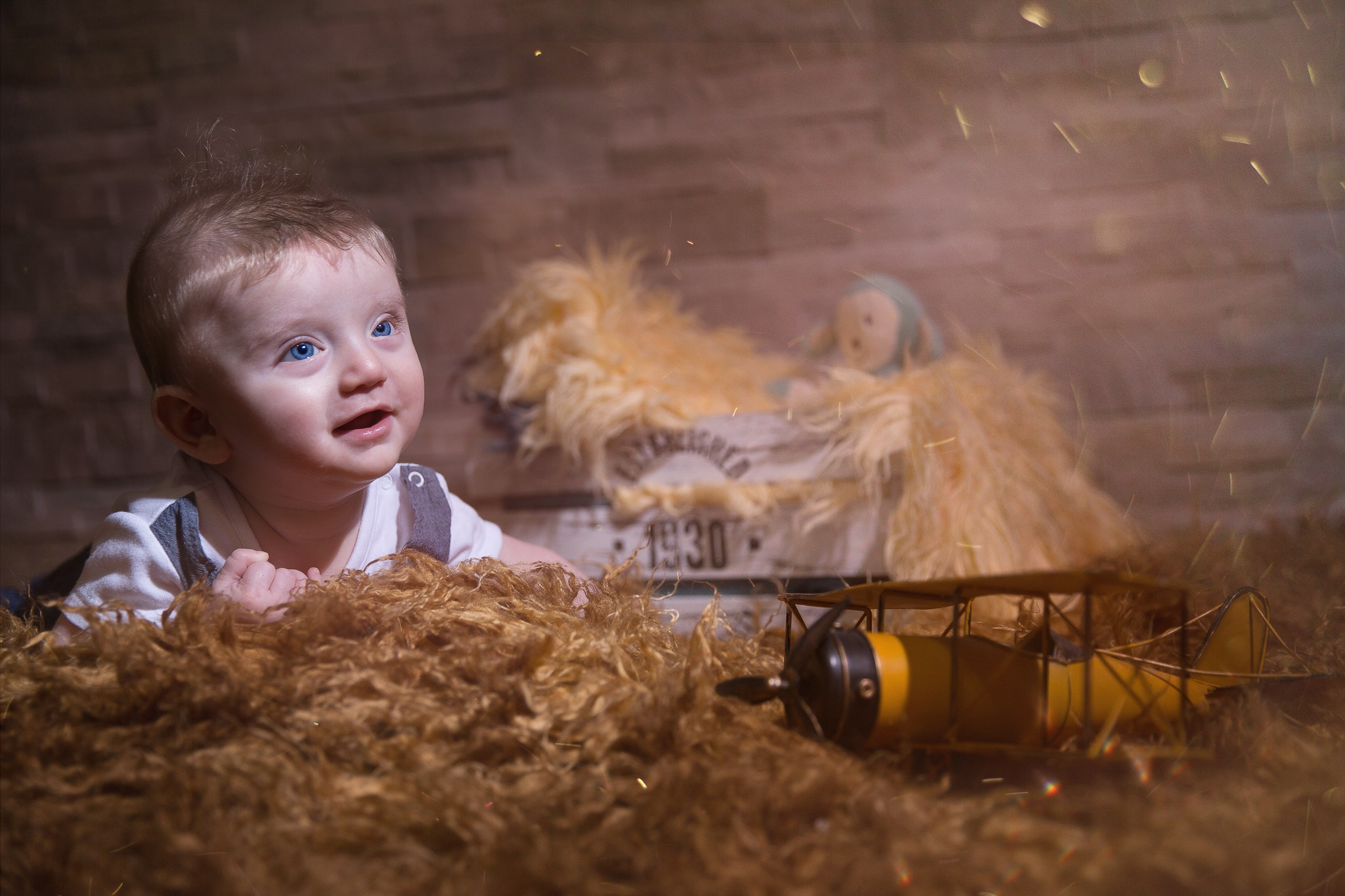 AlexEvents Fotograf / Videograf de evenimente Danemarca DK Horsens, Arhus, Odense, Vejle.Nunta, botez, foto-studio