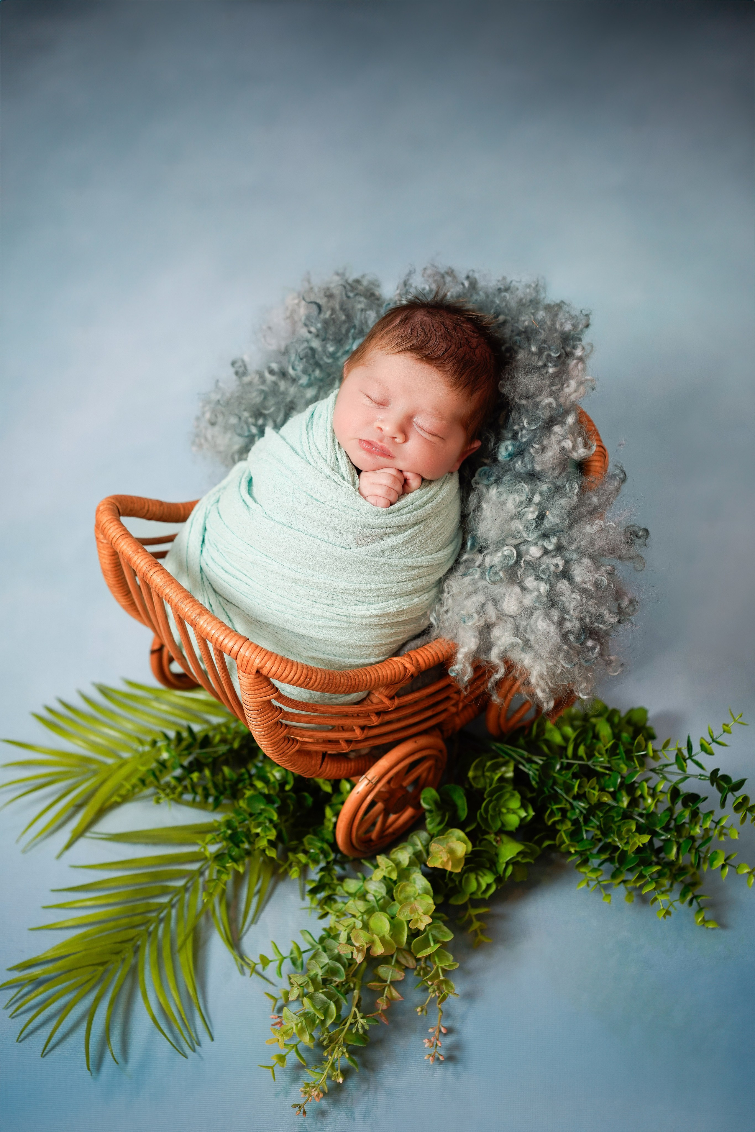 Sedinte foto nou-nascut. Cuibul foto