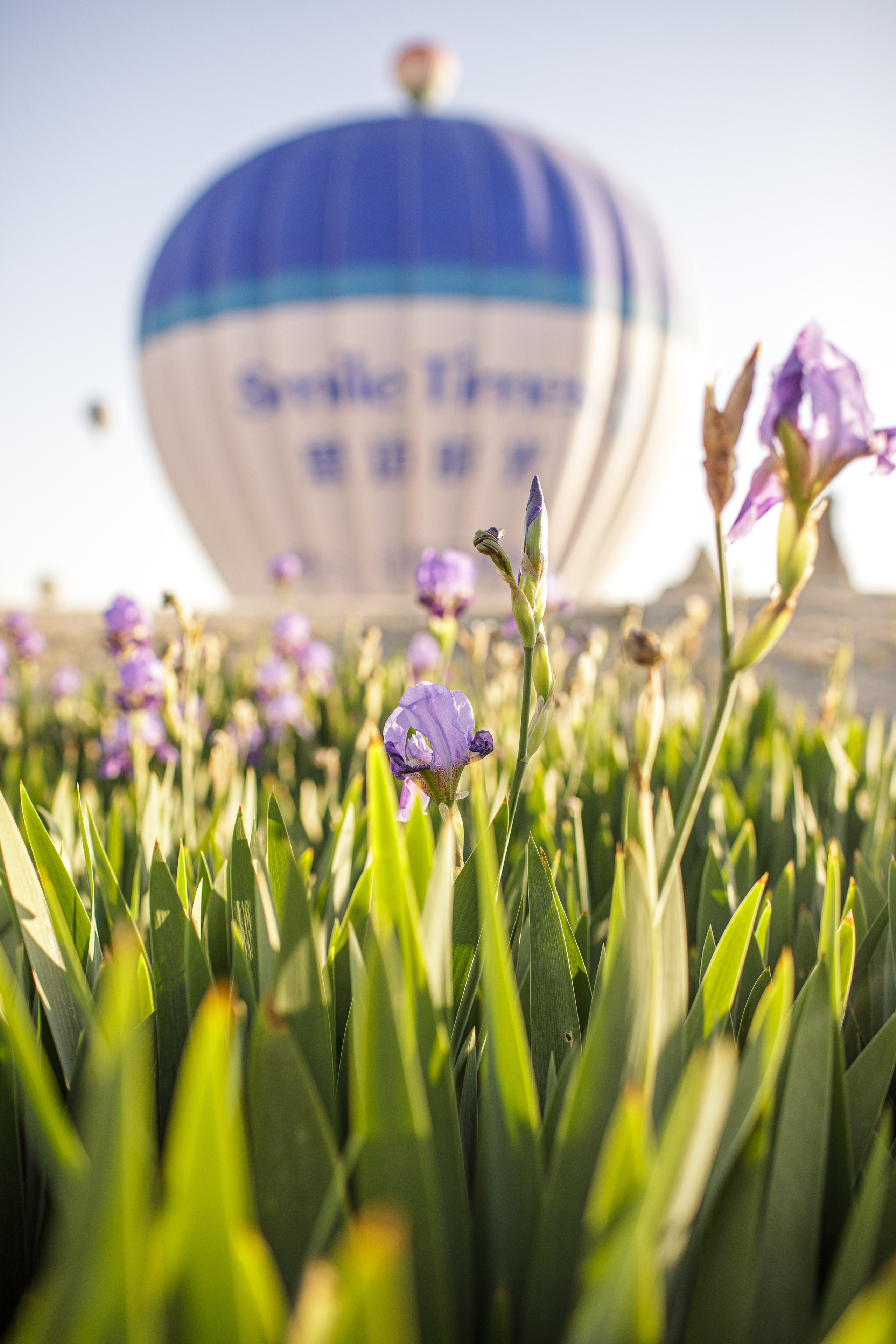 Cappadocia photographer price. Julia Ganch I Fashion Wedding Photography I Cappadocia Turkey