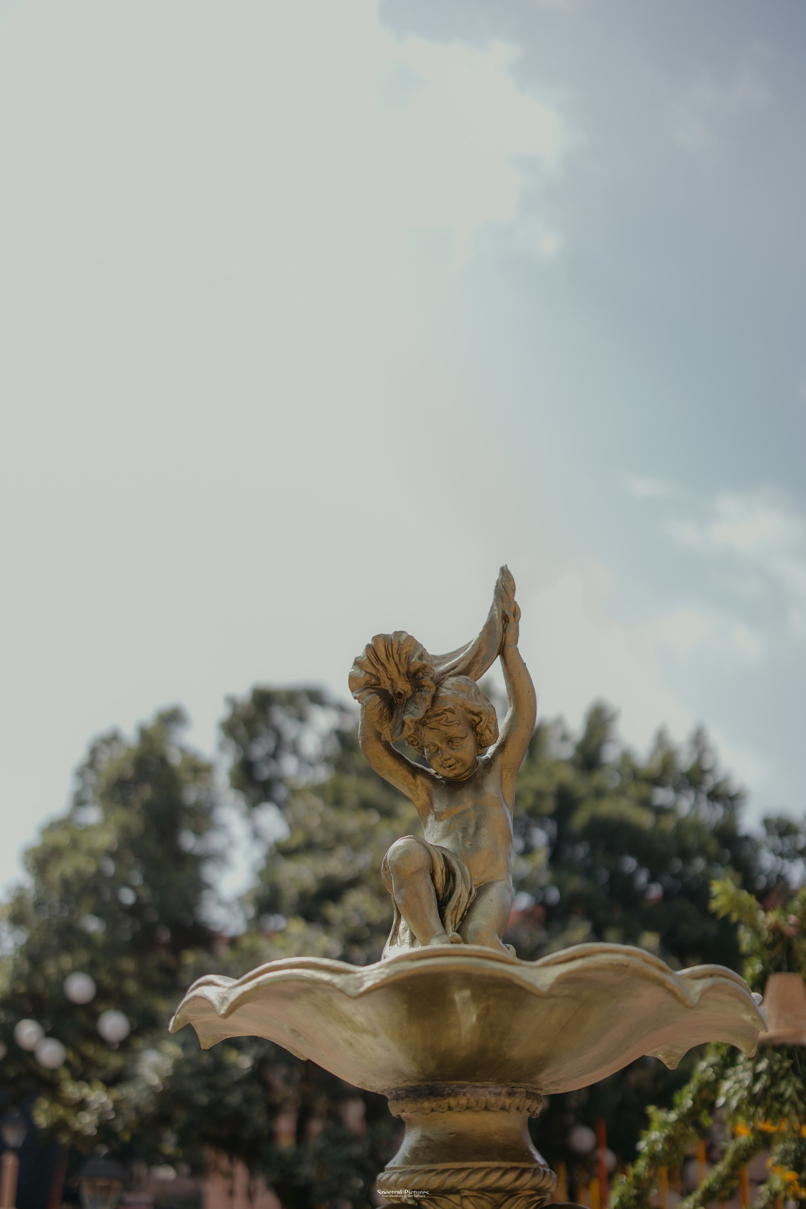 #THEPURALOVESTORY is a journey of two hearts growing in sync, across seasons, challenges, and memories