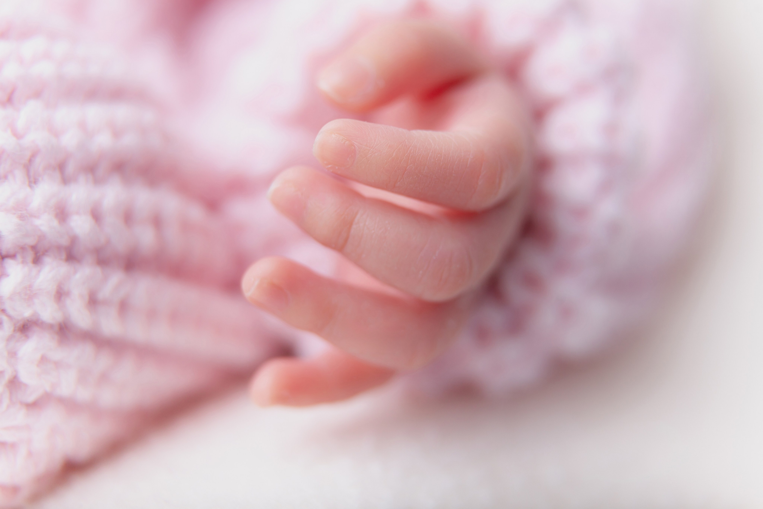 Services. Marina Pravda Photography San Francisco Bay Area