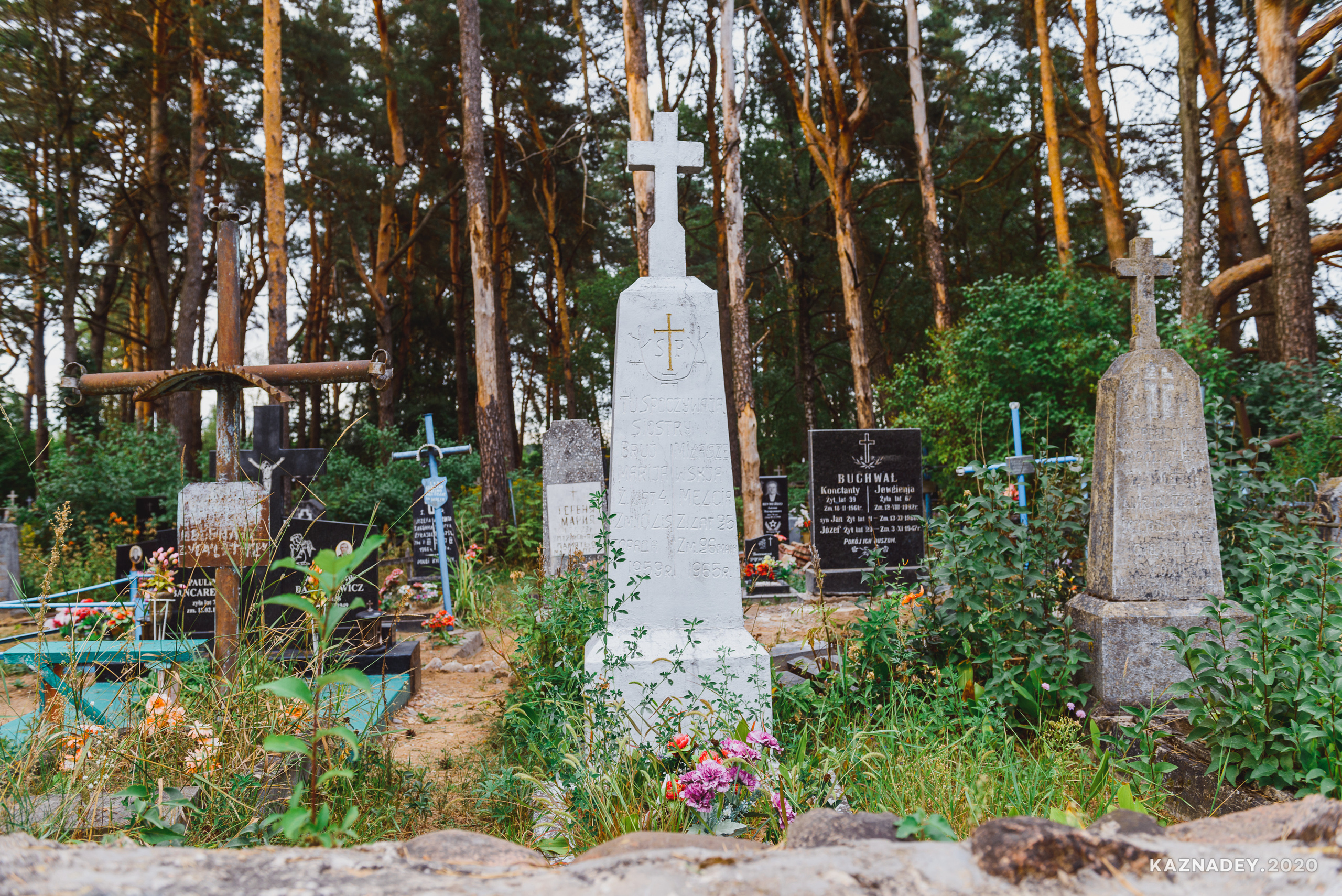 Дорога тишины, Алексей Казнадей, kaznadey