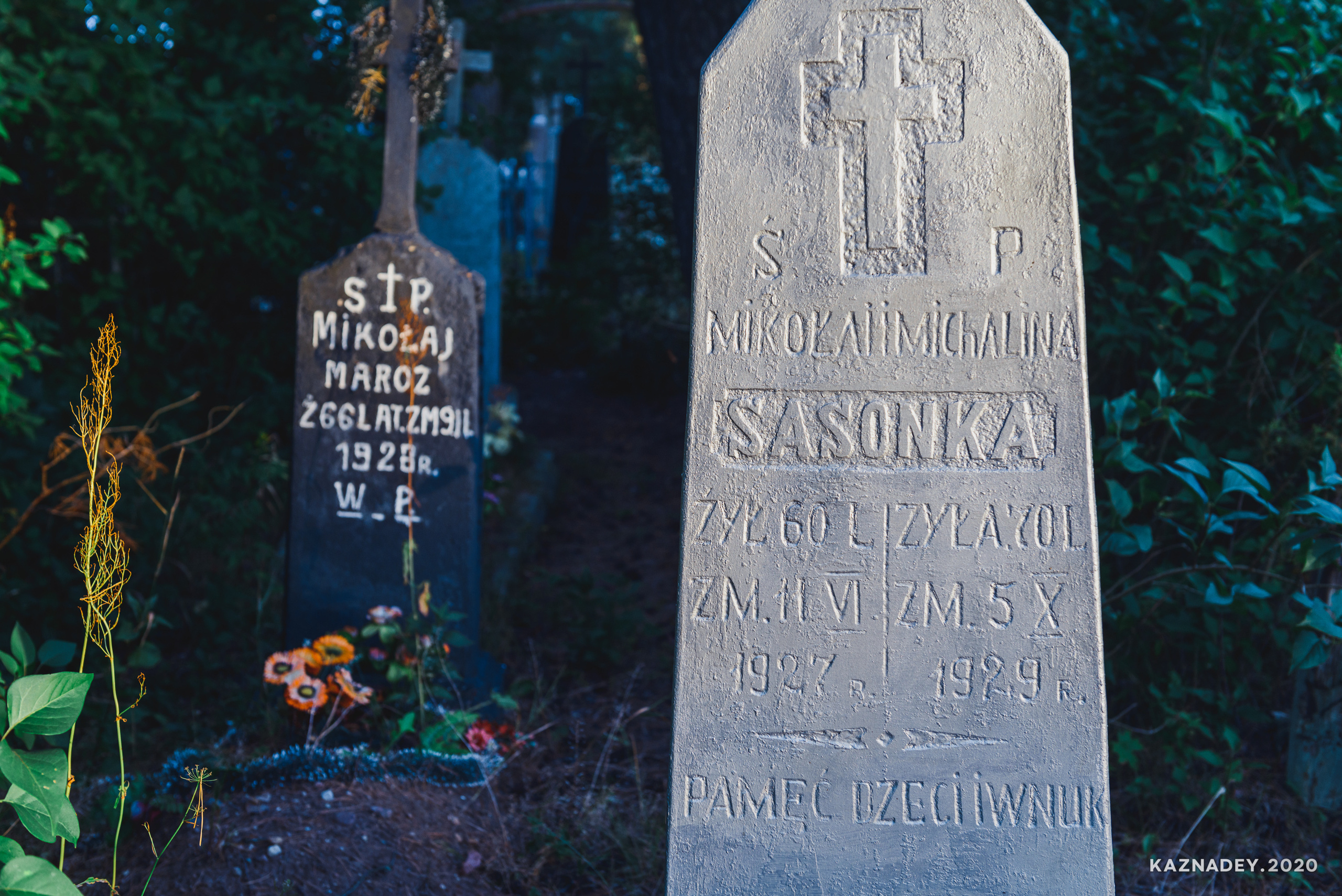 Дорога тишины, Алексей Казнадей, kaznadey