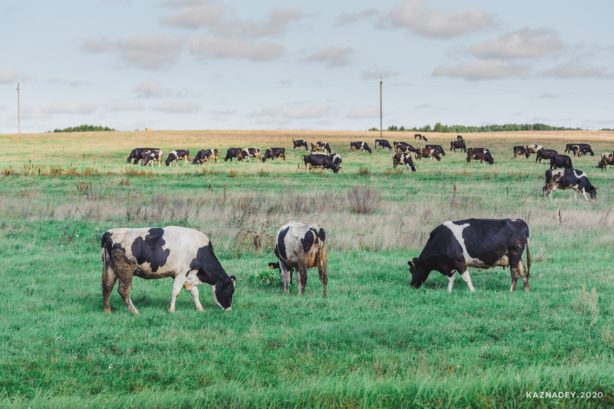 Дорога тишины, Алексей Казнадей, kaznadey