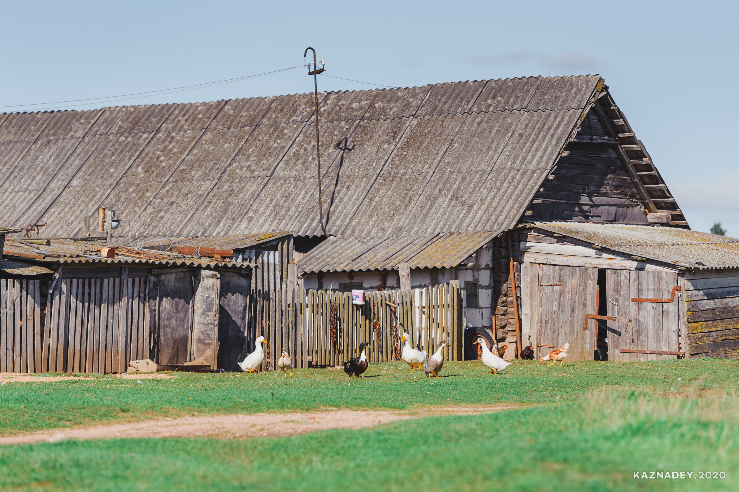 Дорога тишины, Алексей Казнадей, kaznadey