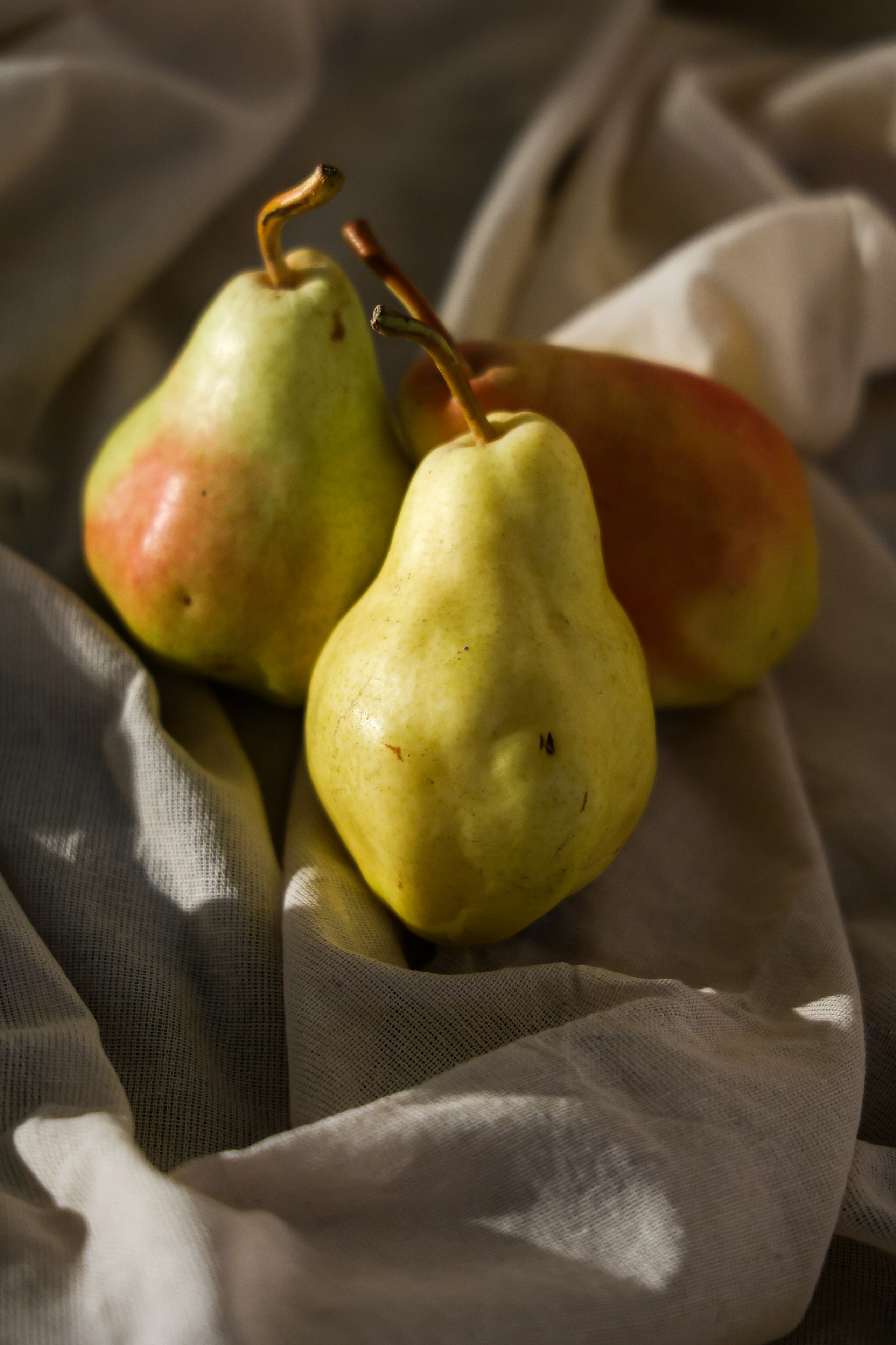 Семейный и рекламный фотограф в Ташкенте Мария Кудрявцева