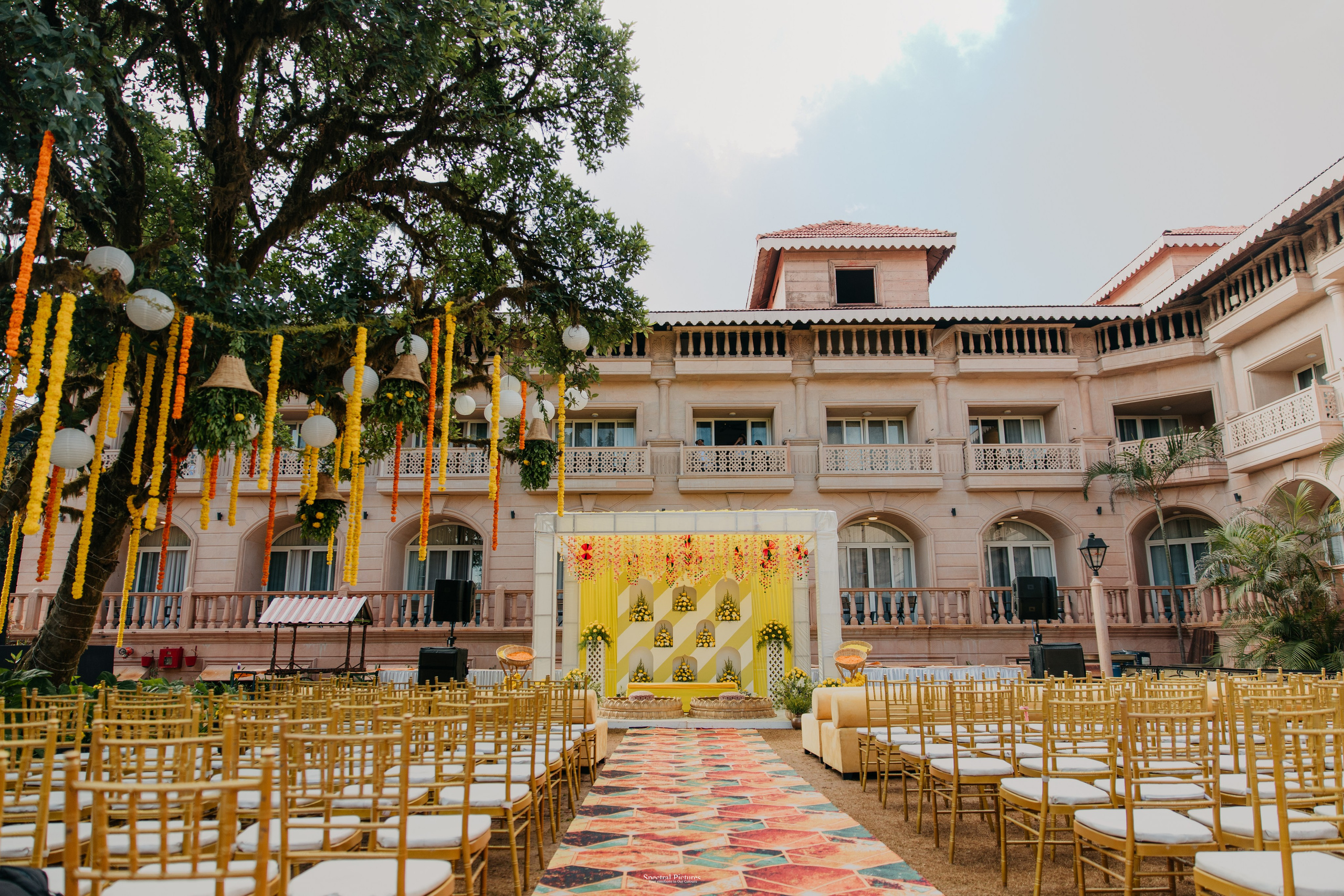 #THEPURALOVESTORY is a journey of two hearts growing in sync, across seasons, challenges, and memories