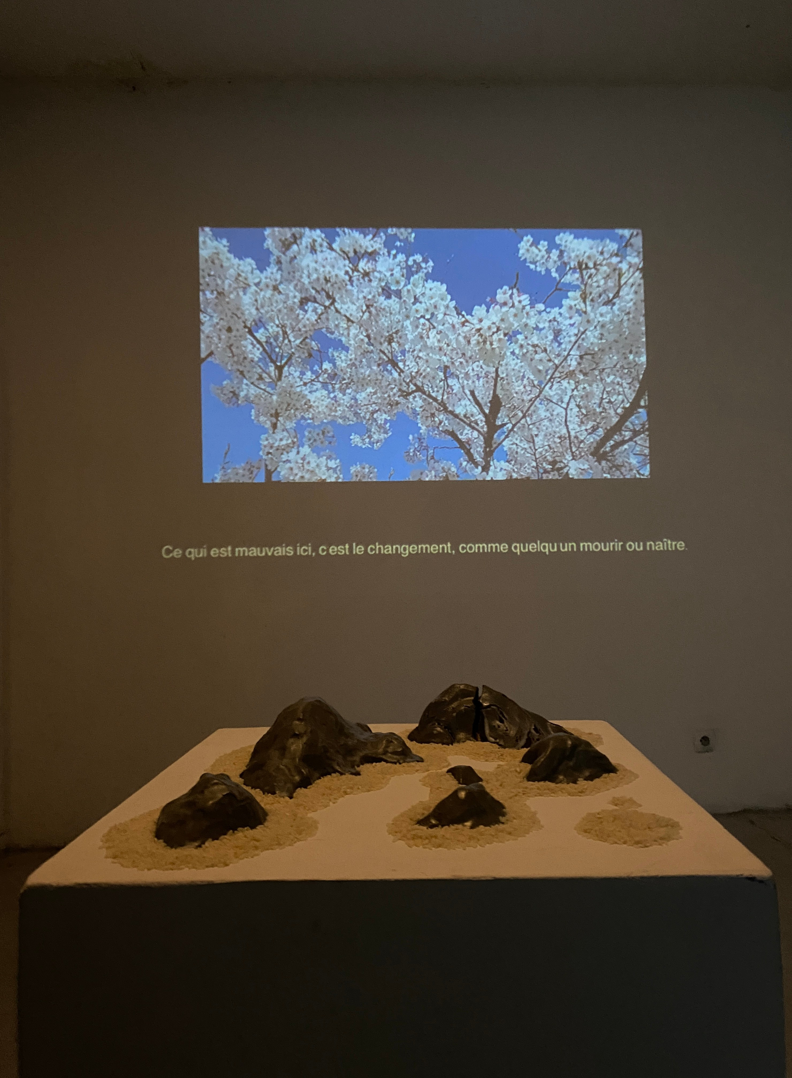 Ceramique, riz et ensens. Installation variable