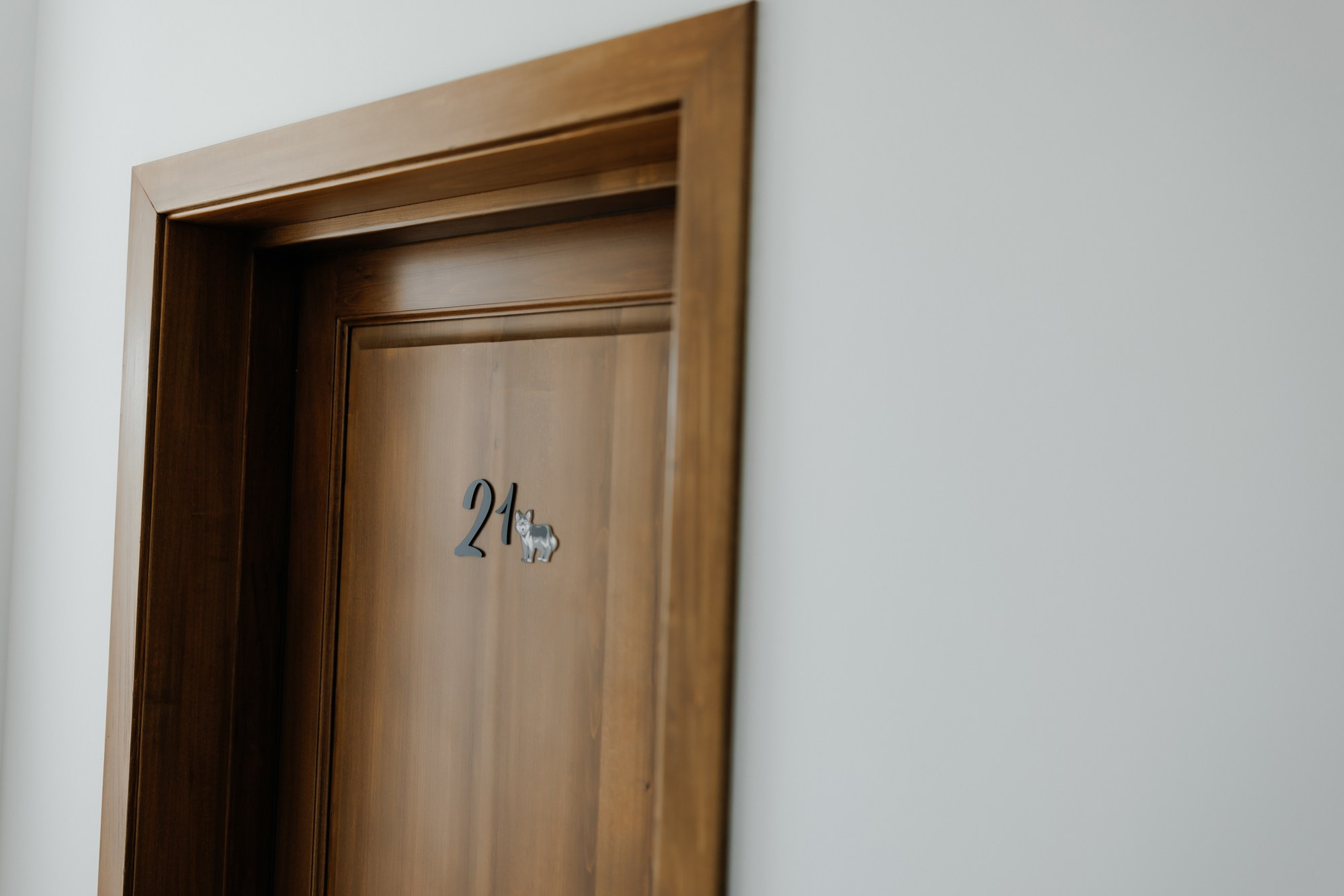 Andrei si Adelina. Wedding photographer and videographer