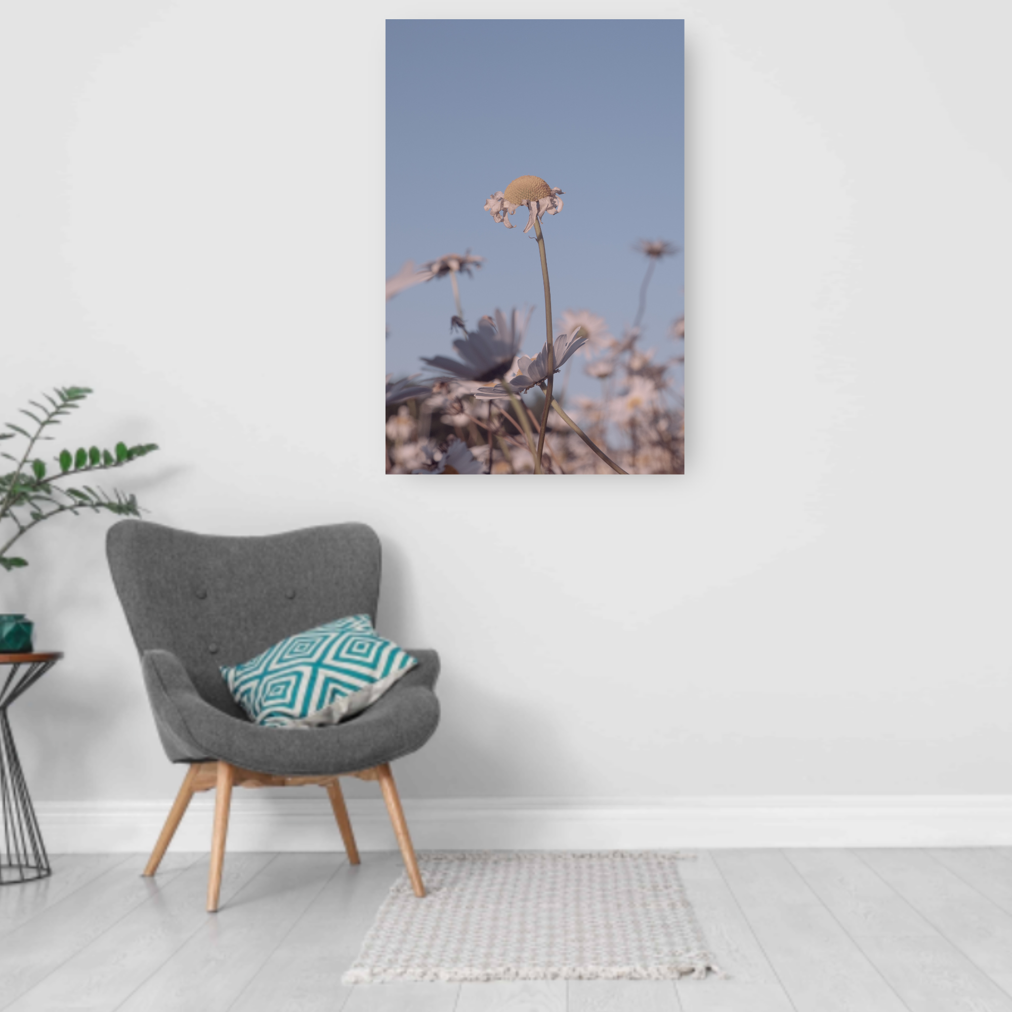 DAISIES. Natalja Poplavska — Visual artist, Photographer, East Sussex, London