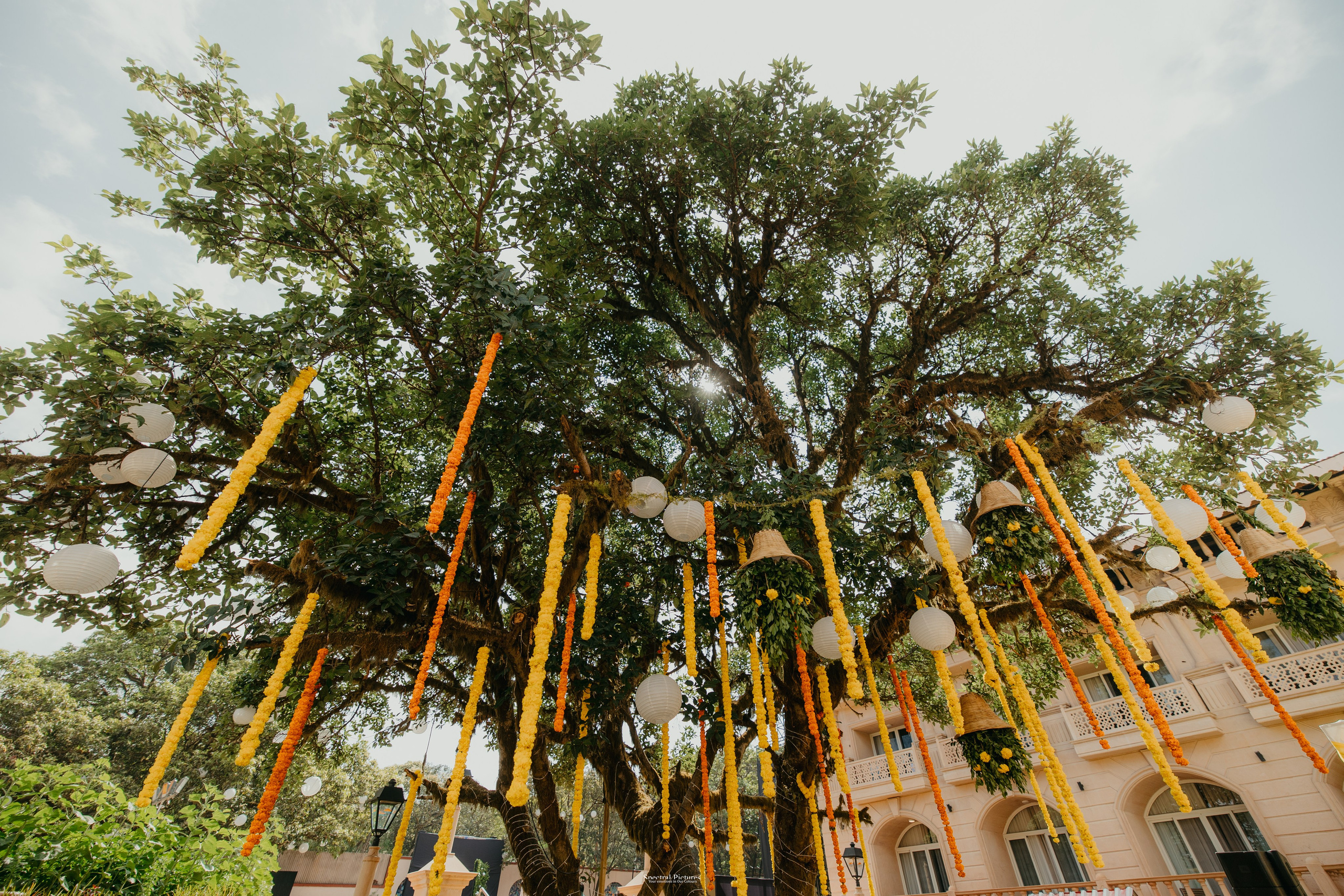 #THEPURALOVESTORY is a journey of two hearts growing in sync, across seasons, challenges, and memories