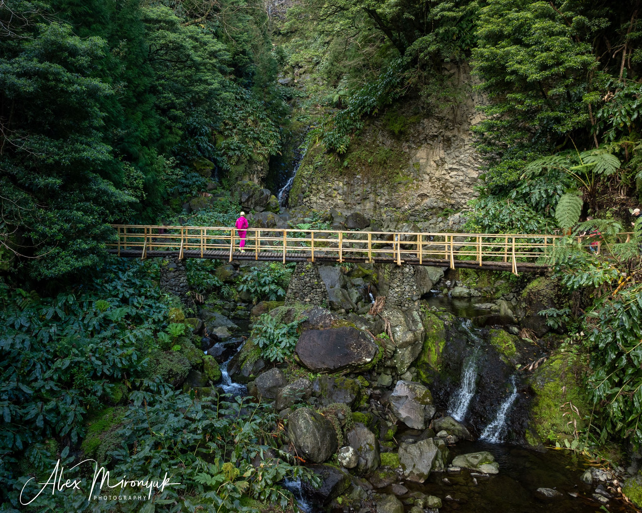 Azores And Madeira. Alex Mironyuk Photography