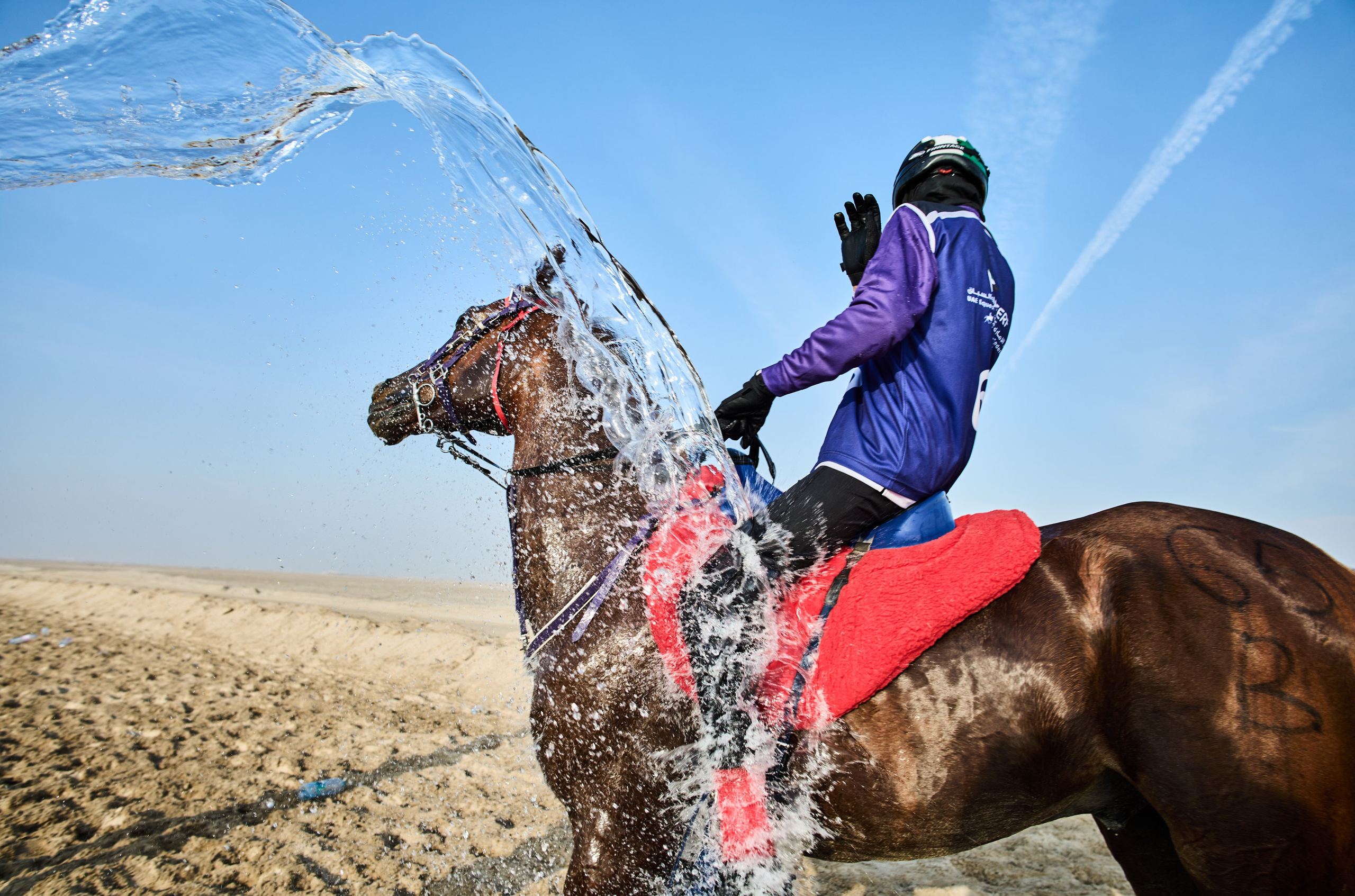 ENDURANCE HORSE RACING. Grigoriy Yaroshenko photography | Фотограф Григорий Ярошенко