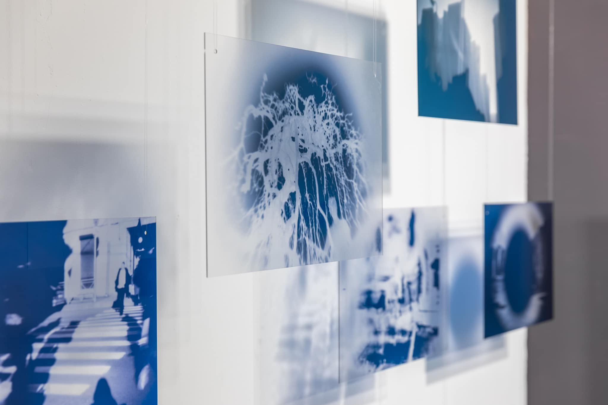 Afterimage. GLISH ART — Timofey Glinin & Anastasia Shubina