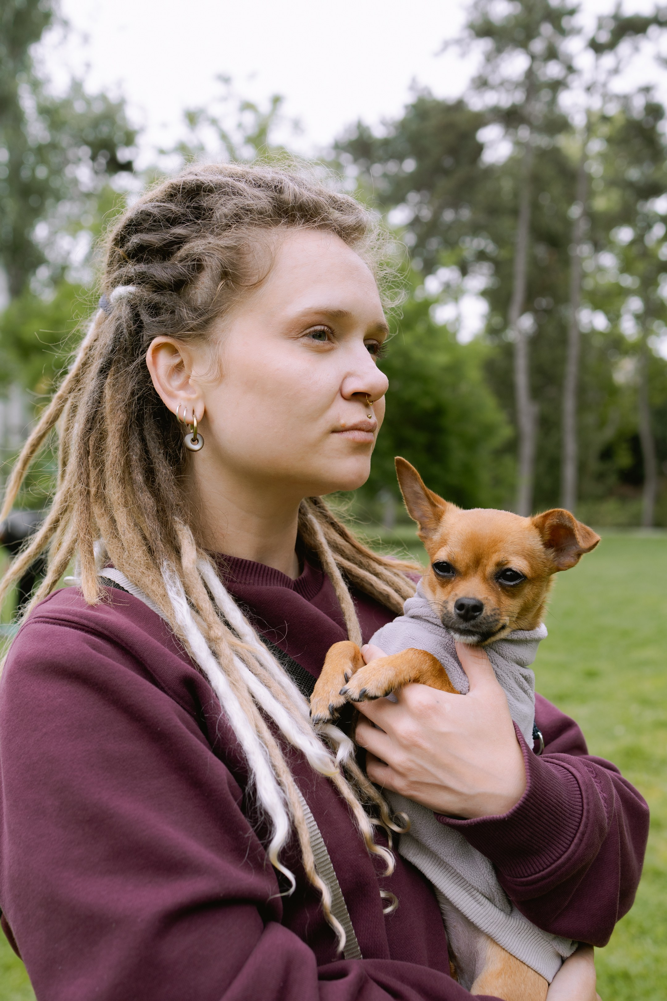 Юля с той-терьером Роки смотрит в сторону, загадочное выражение лиц.