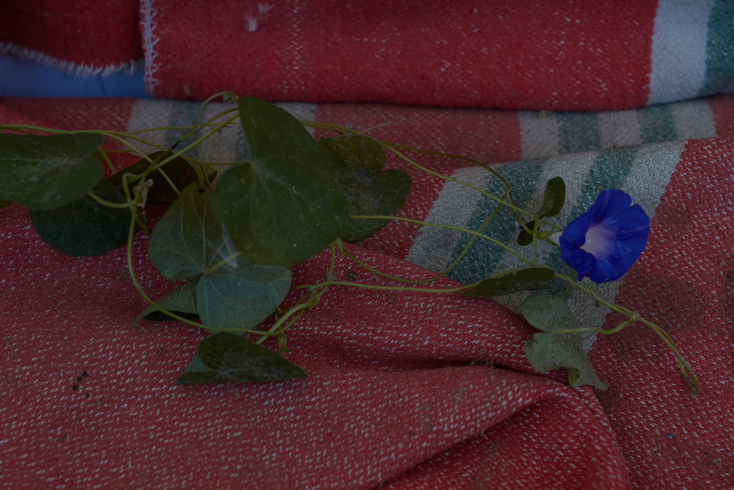 And time stood still. Visual artist