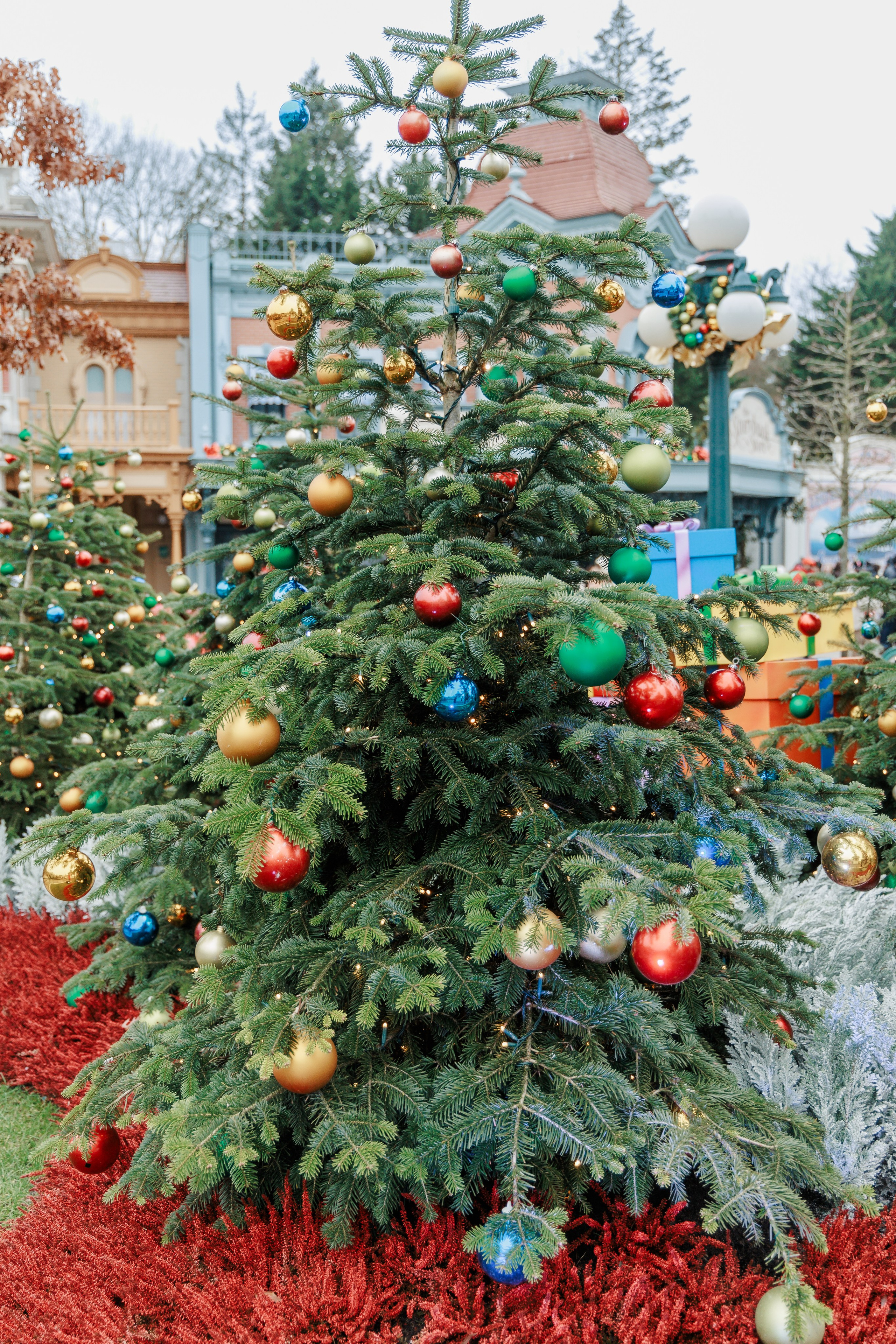 Best Photographer in Paris: Your Guide to Unforgettable Winter Photoshoots at Disneyland Paris. Photographe à Paris