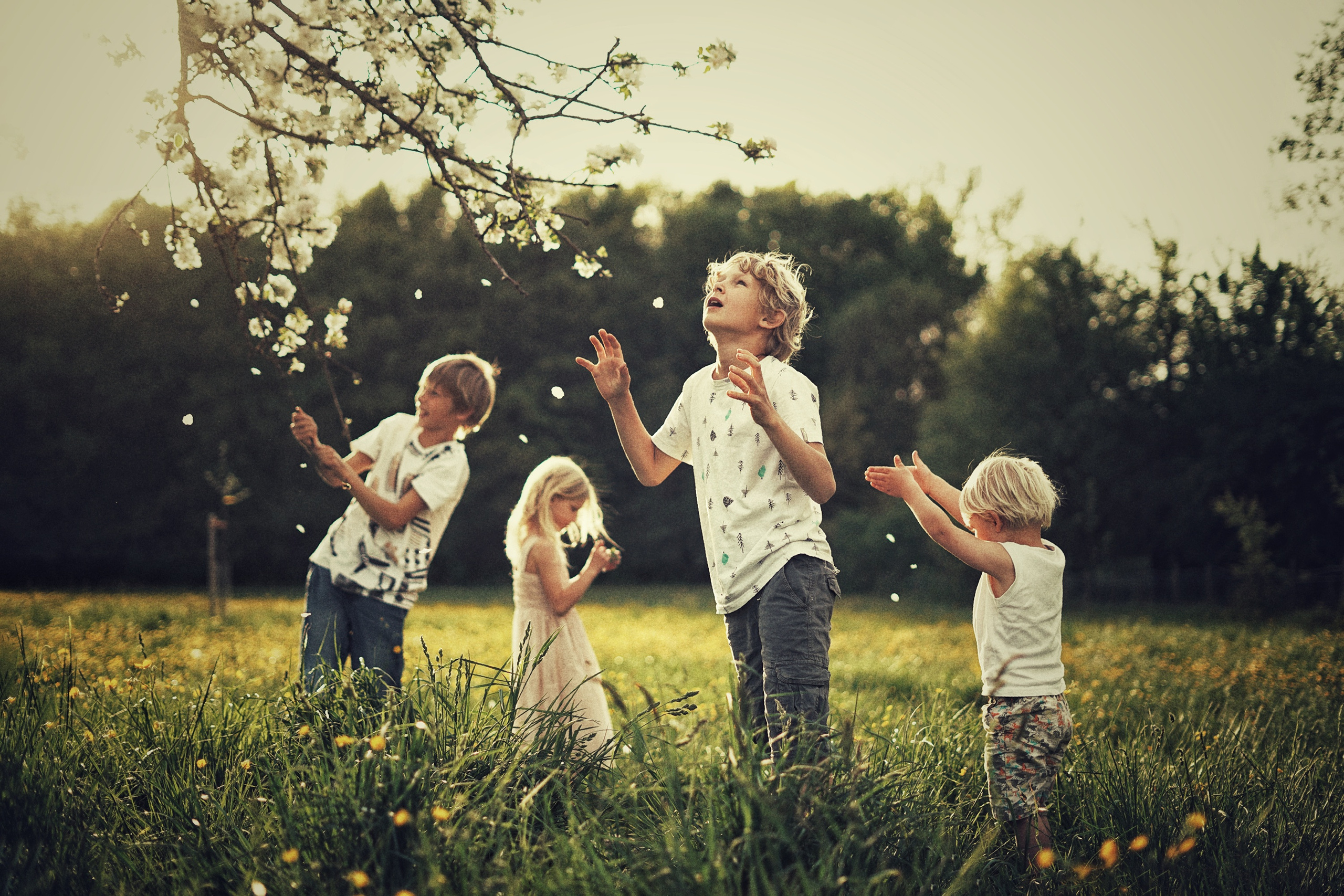 Nina Janeckova Fotografin und Videografin am Bodensee