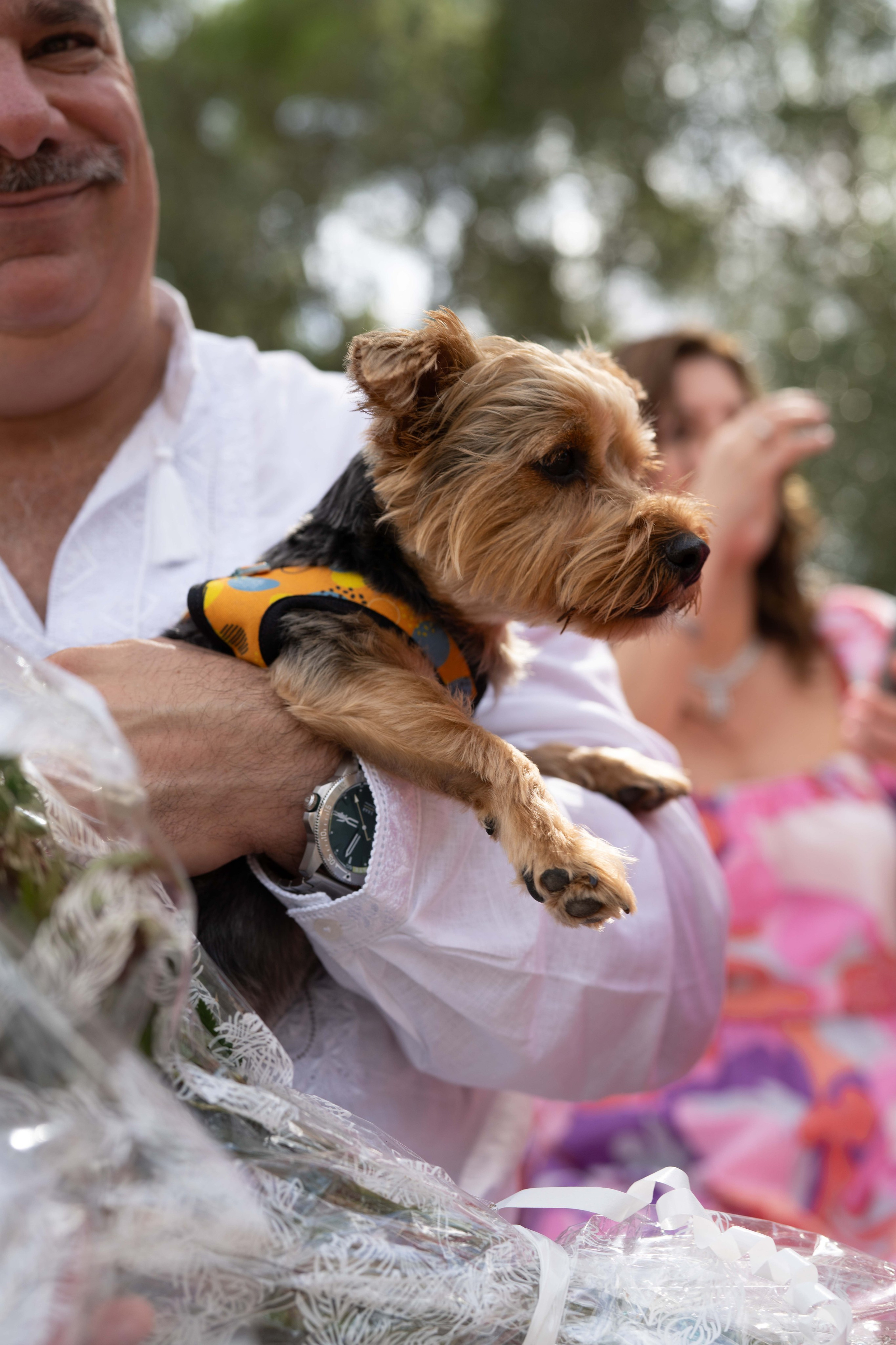 Wedding. Фотограф у Пальма де Майорка